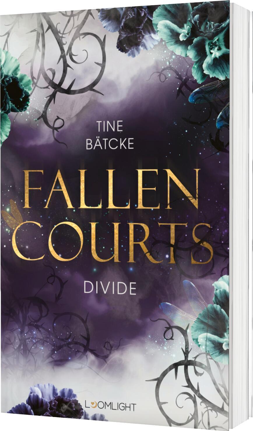 Vorderes Coverbild Fallen Courts 2: Divide