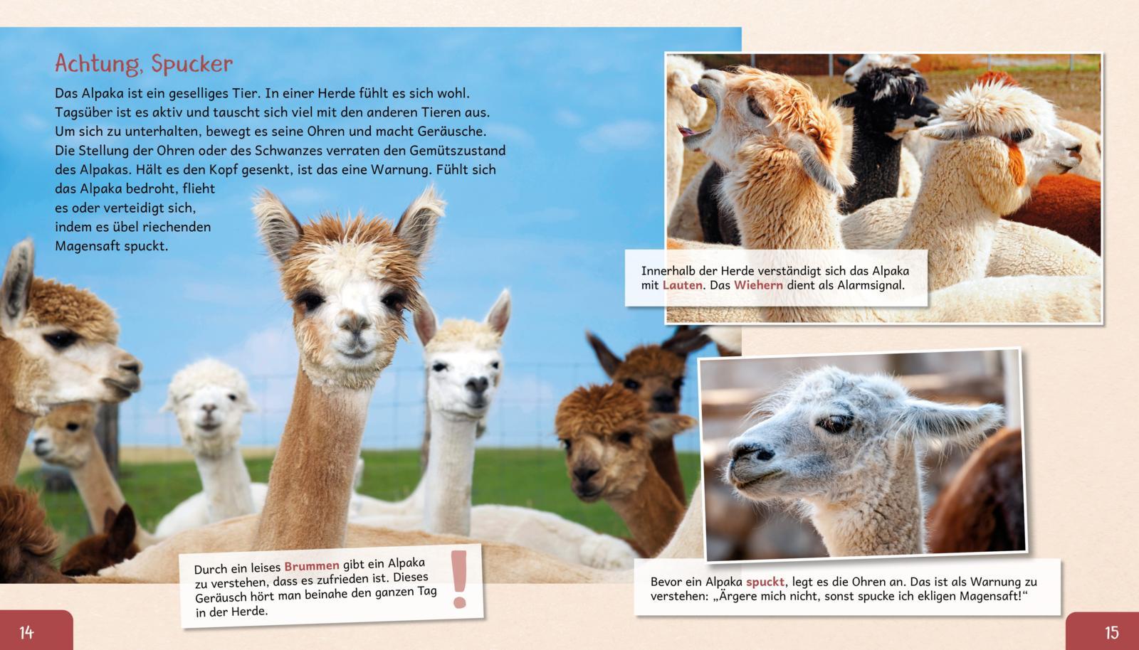 Beispielinhalt (Bild) Meine große Tierbibliothek: Das Alpaka