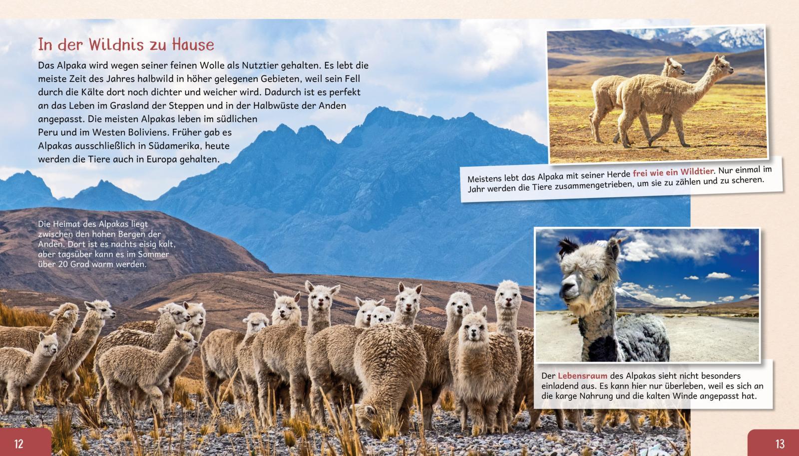 Beispielinhalt (Bild) Meine große Tierbibliothek: Das Alpaka