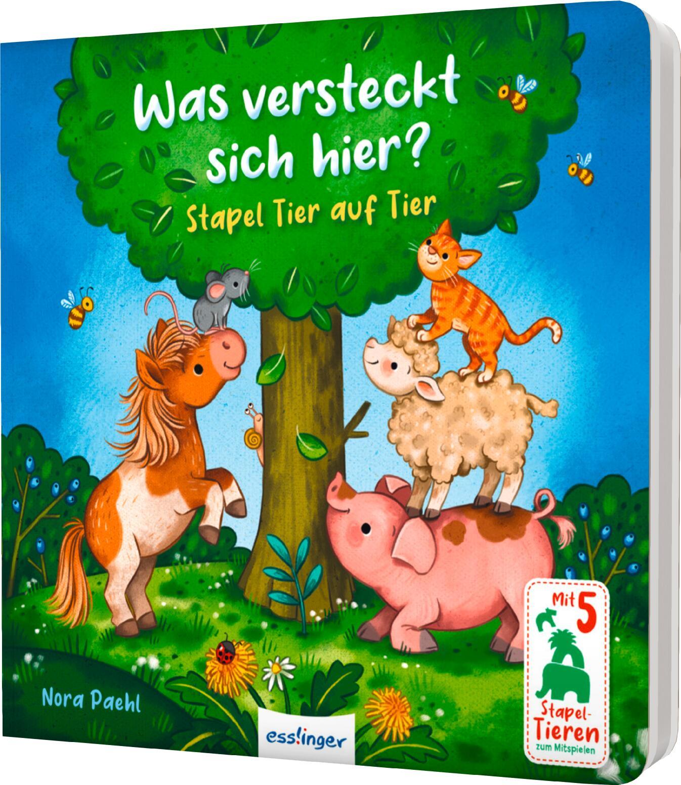 Vorderes Coverbild Was versteckt sich hier?