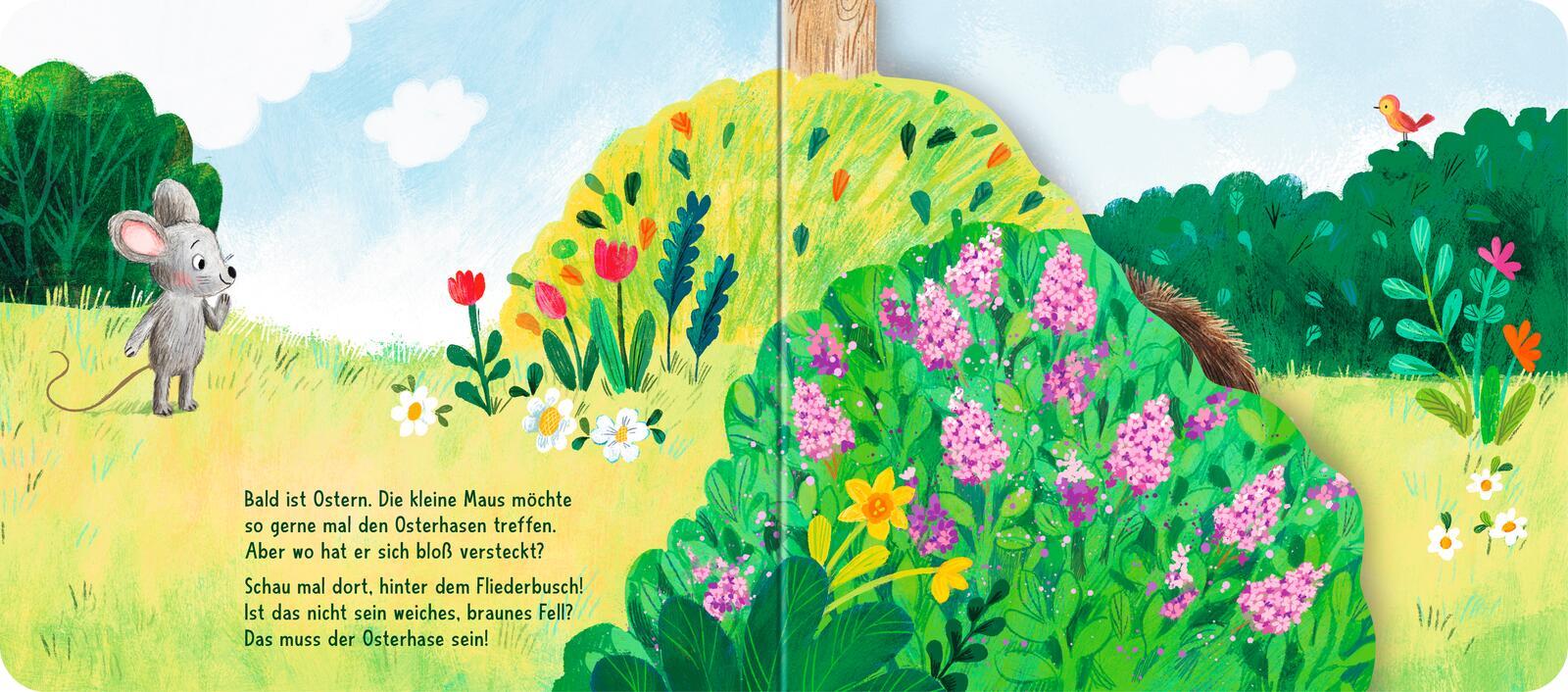 Beispielinhalt (Bild) Wo bist du, kleiner Osterhase?