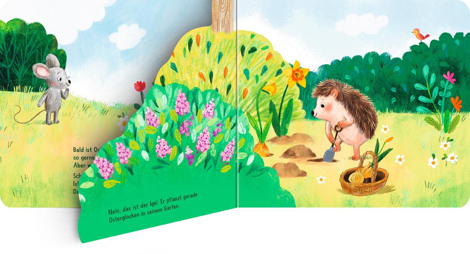 Beispielinhalt (Bild) Wo bist du, kleiner Osterhase?