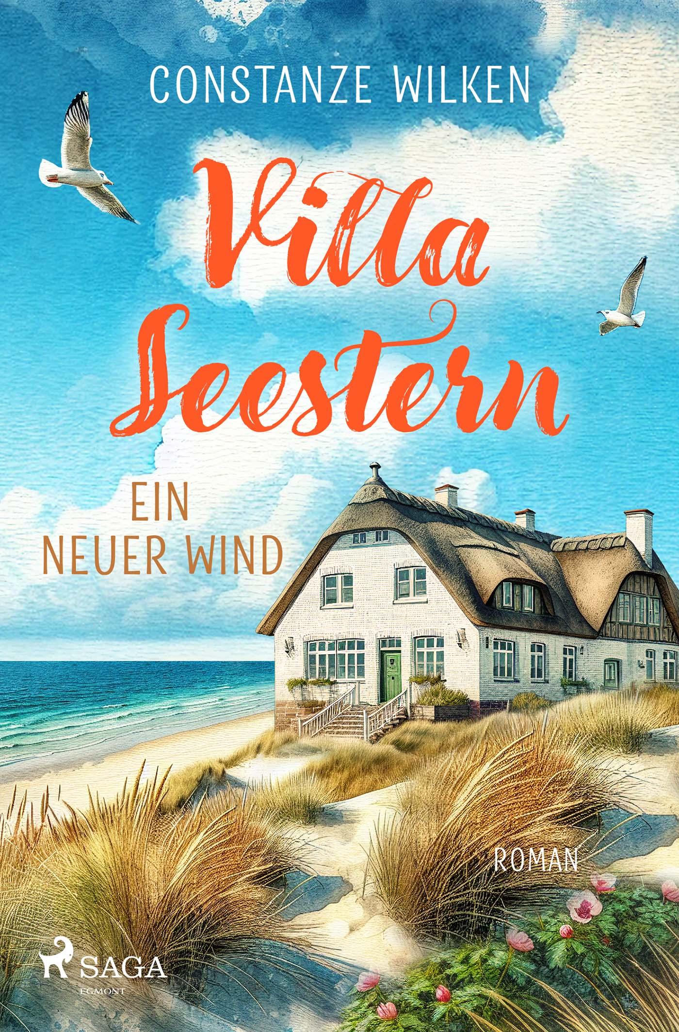 Vorderes Coverbild Villa Seestern - Ein neuer Wind