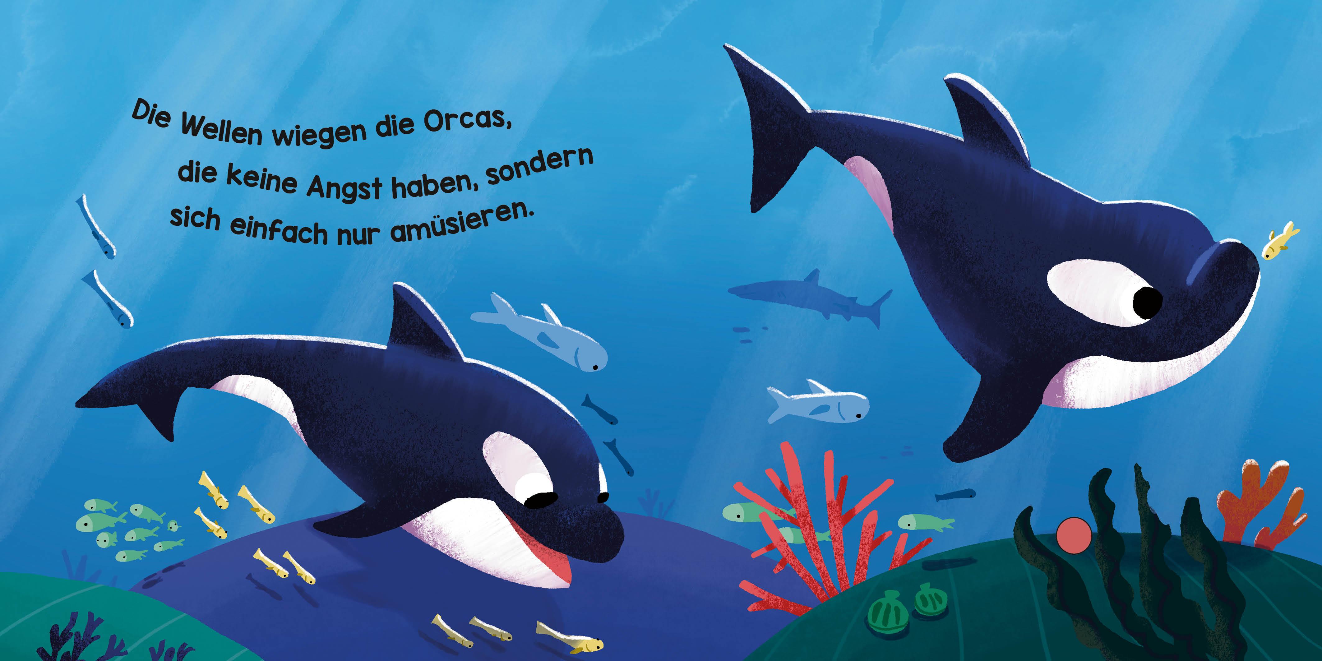 Beispielinhalt (Bild) Ozeanische Klangwelten