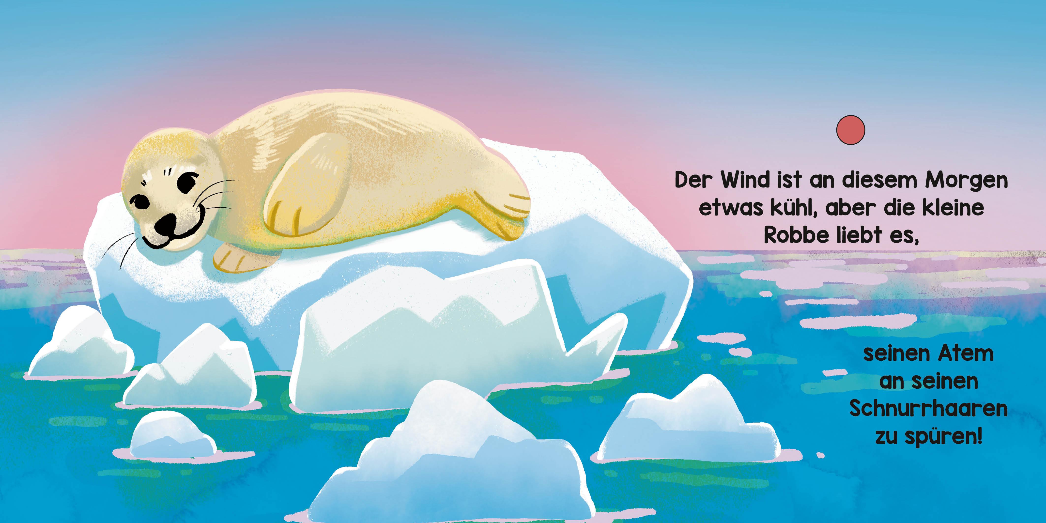 Beispielinhalt (Bild) Ozeanische Klangwelten