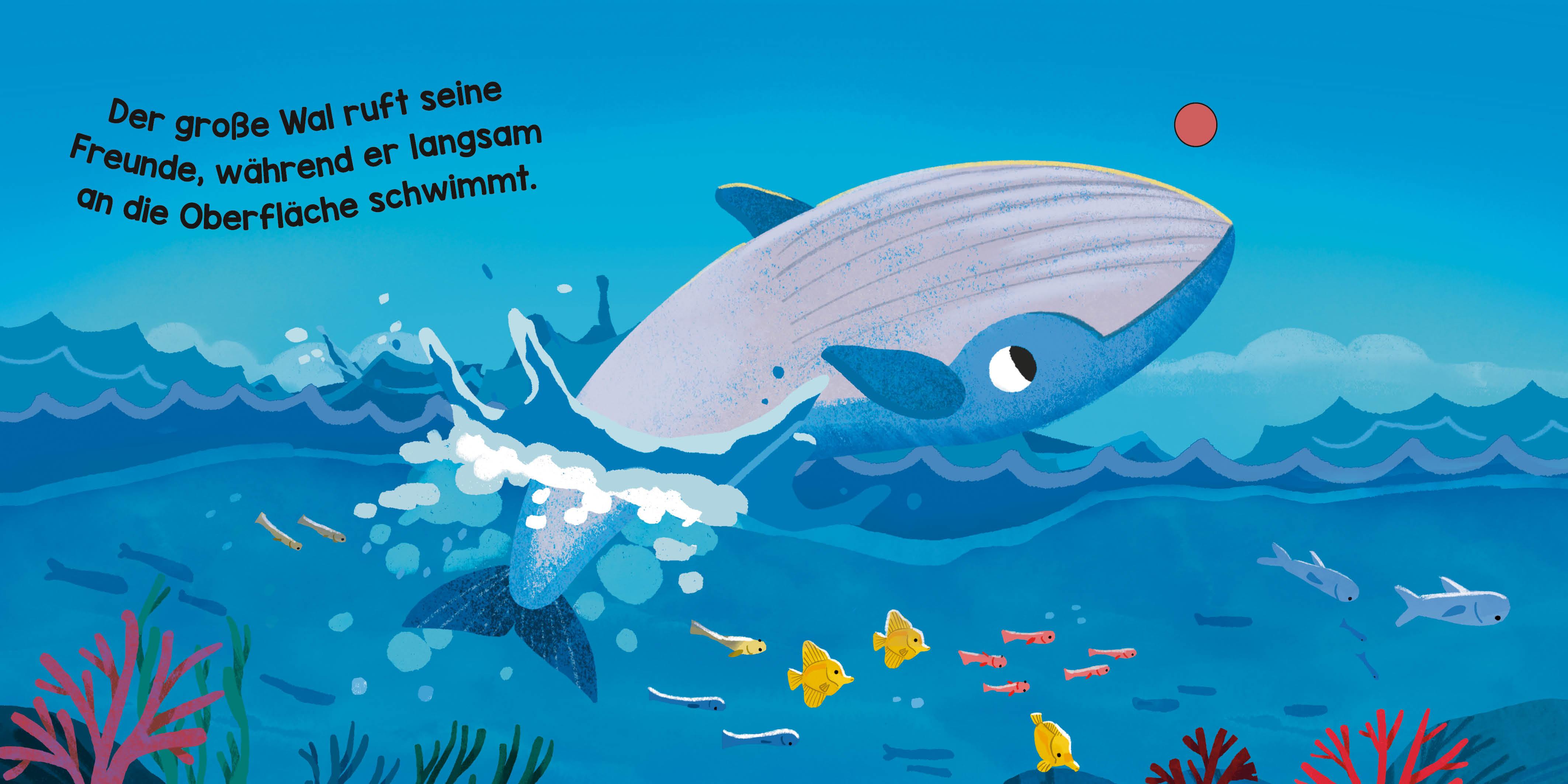 Beispielinhalt (Bild) Ozeanische Klangwelten