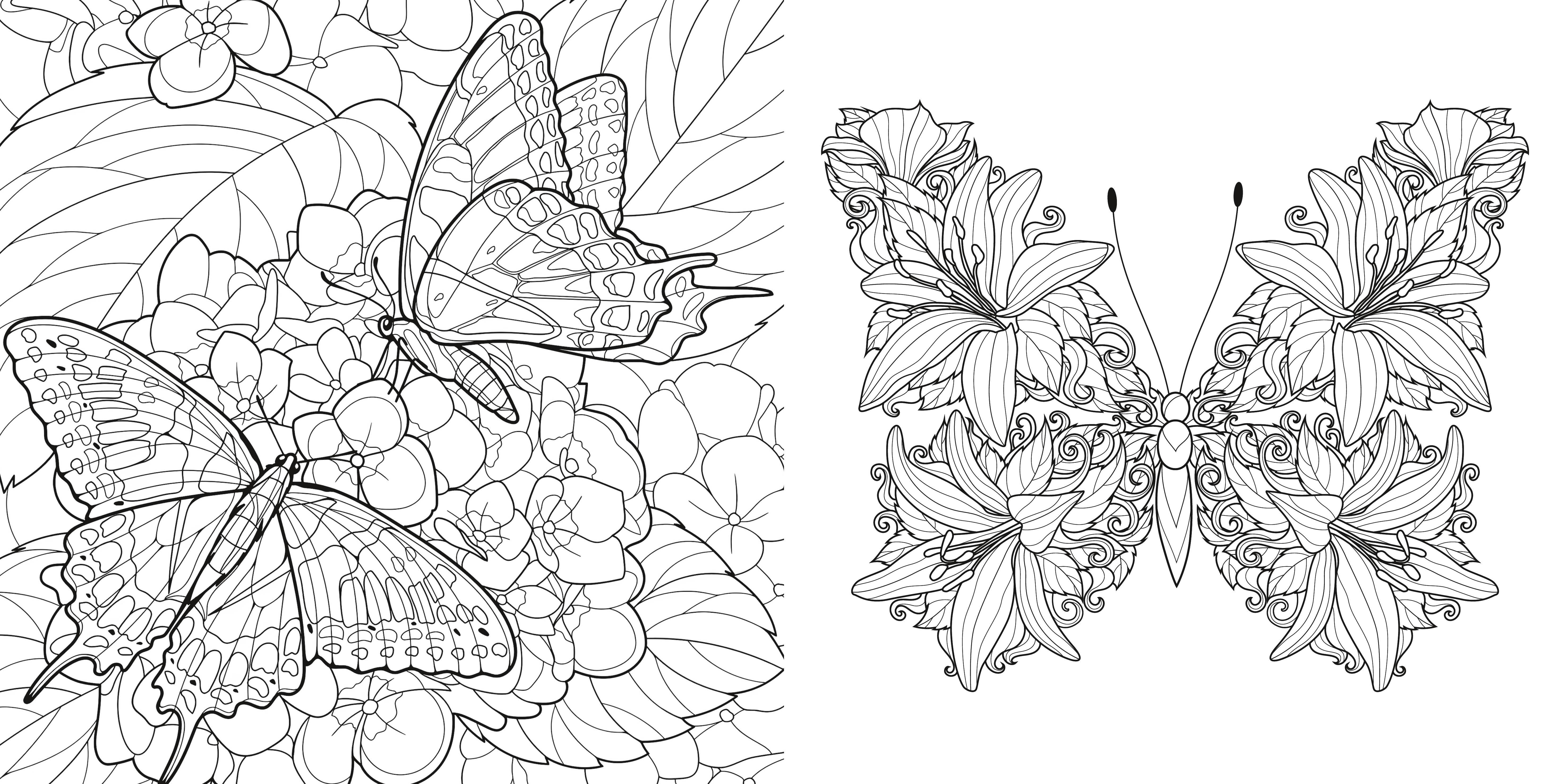 Beispielinhalt (Bild) Magische Natur