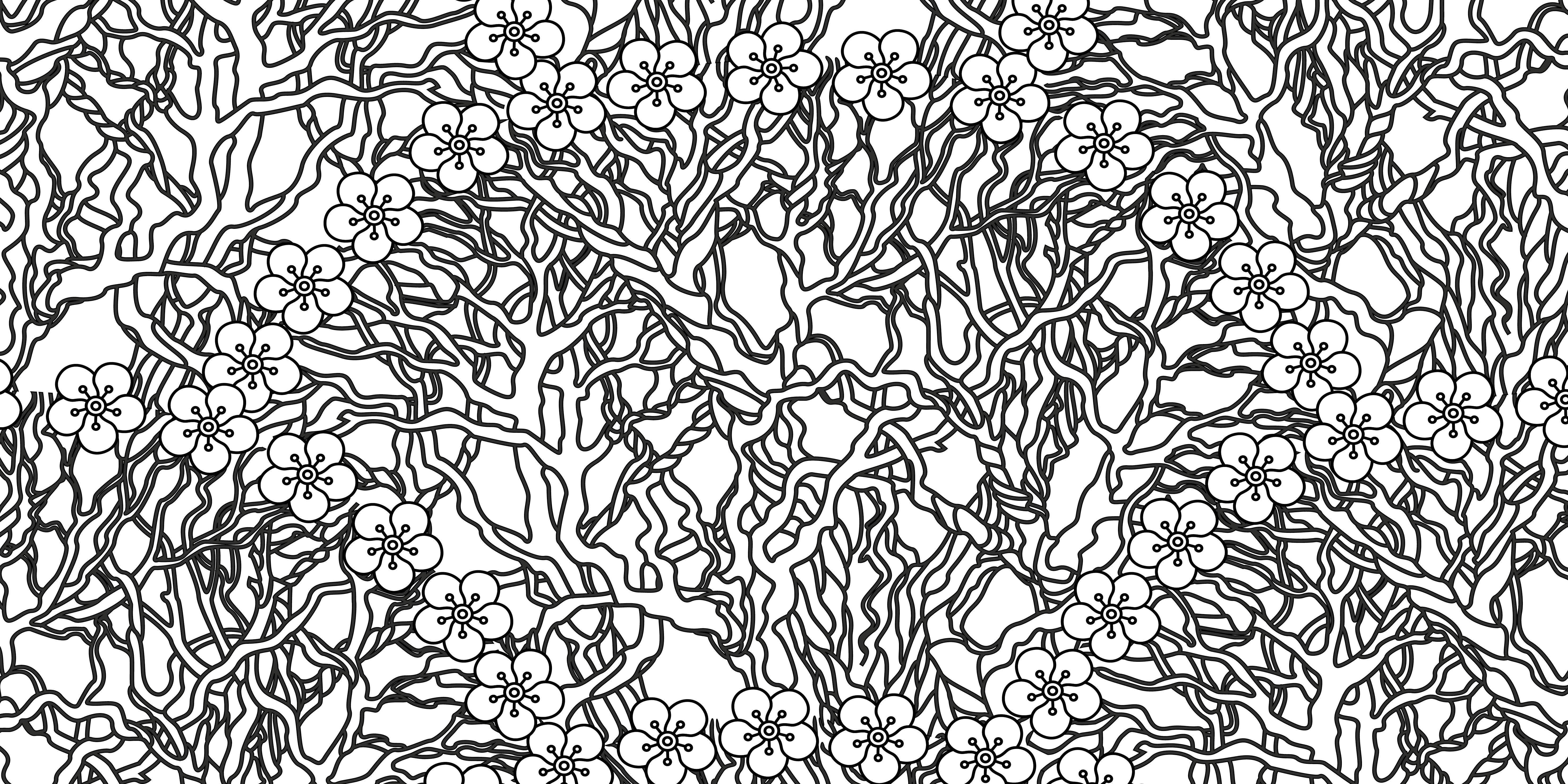 Beispielinhalt (Bild) Magische Natur