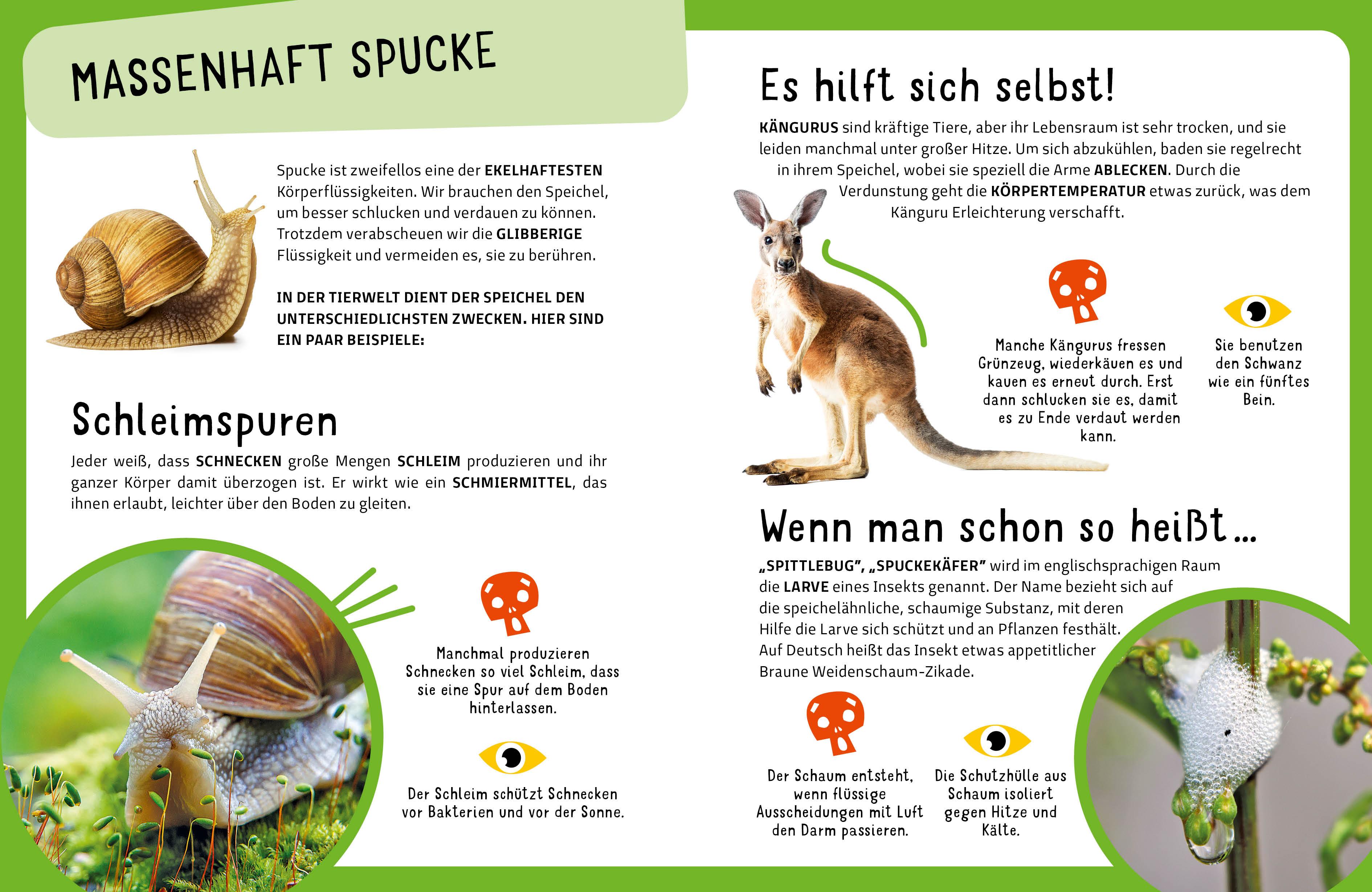 Beispielinhalt (Bild) Die krassesten Tiere