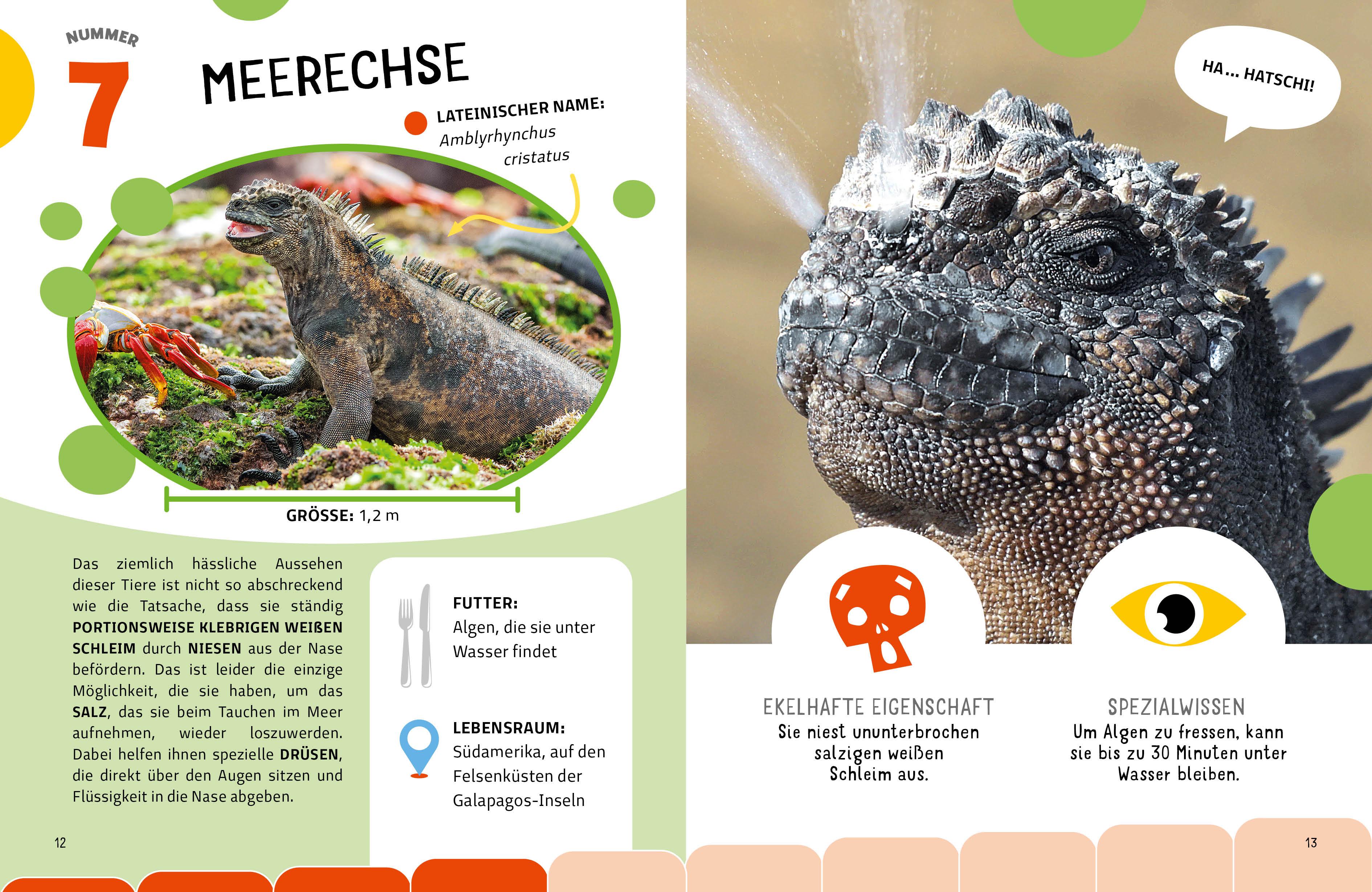 Beispielinhalt (Bild) Die krassesten Tiere