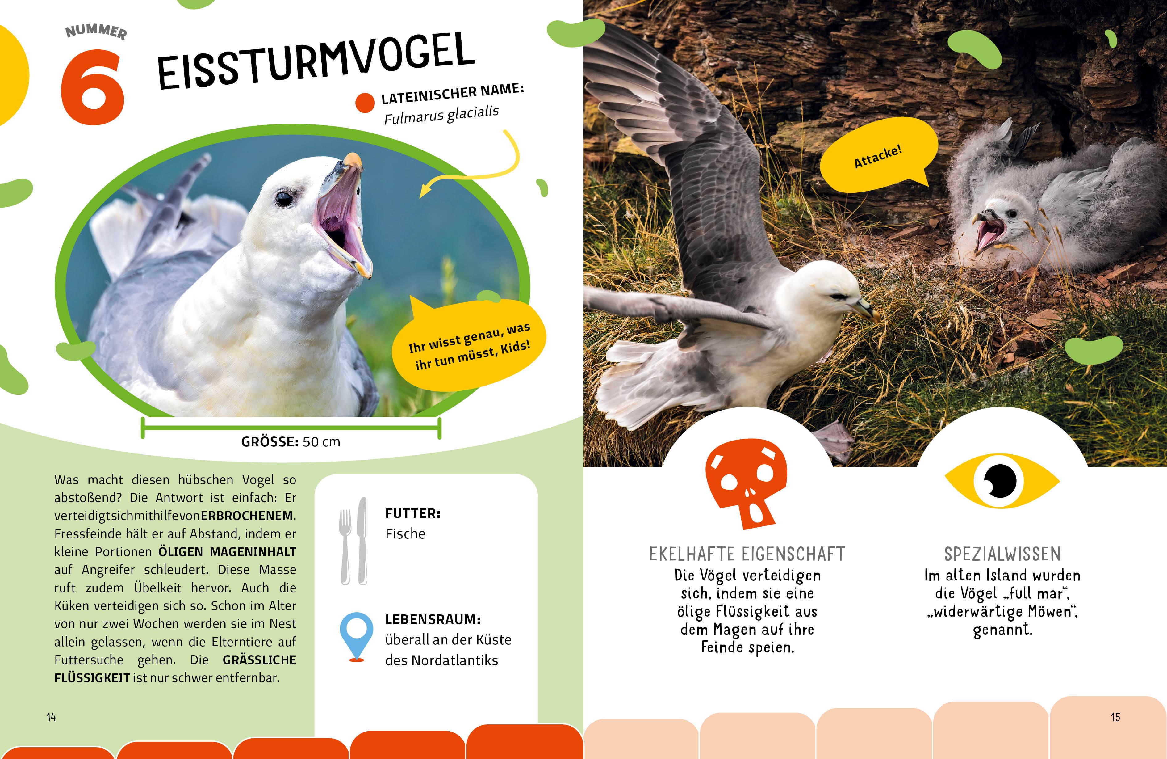 Beispielinhalt (Bild) Die krassesten Tiere