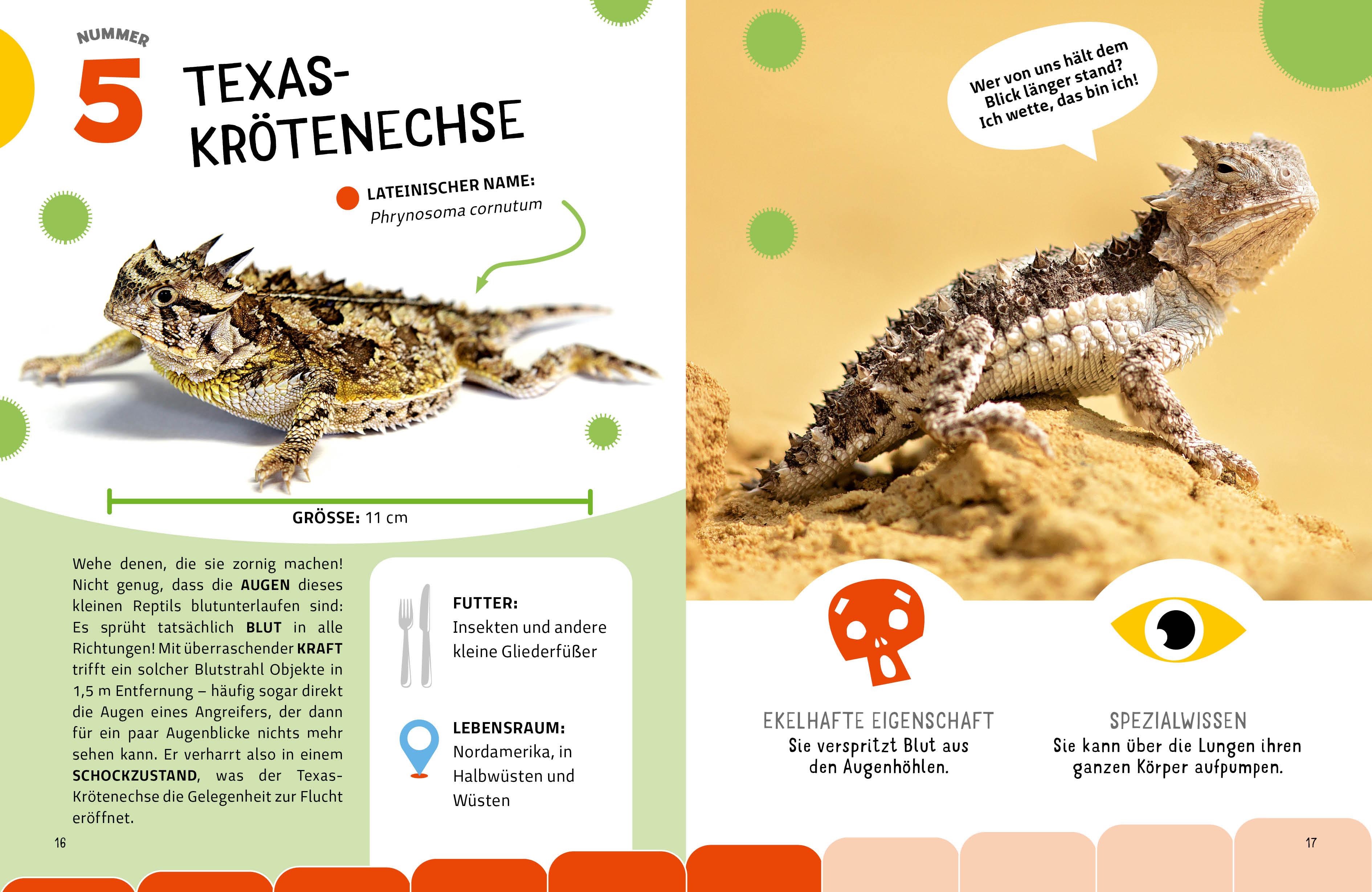 Beispielinhalt (Bild) Die krassesten Tiere