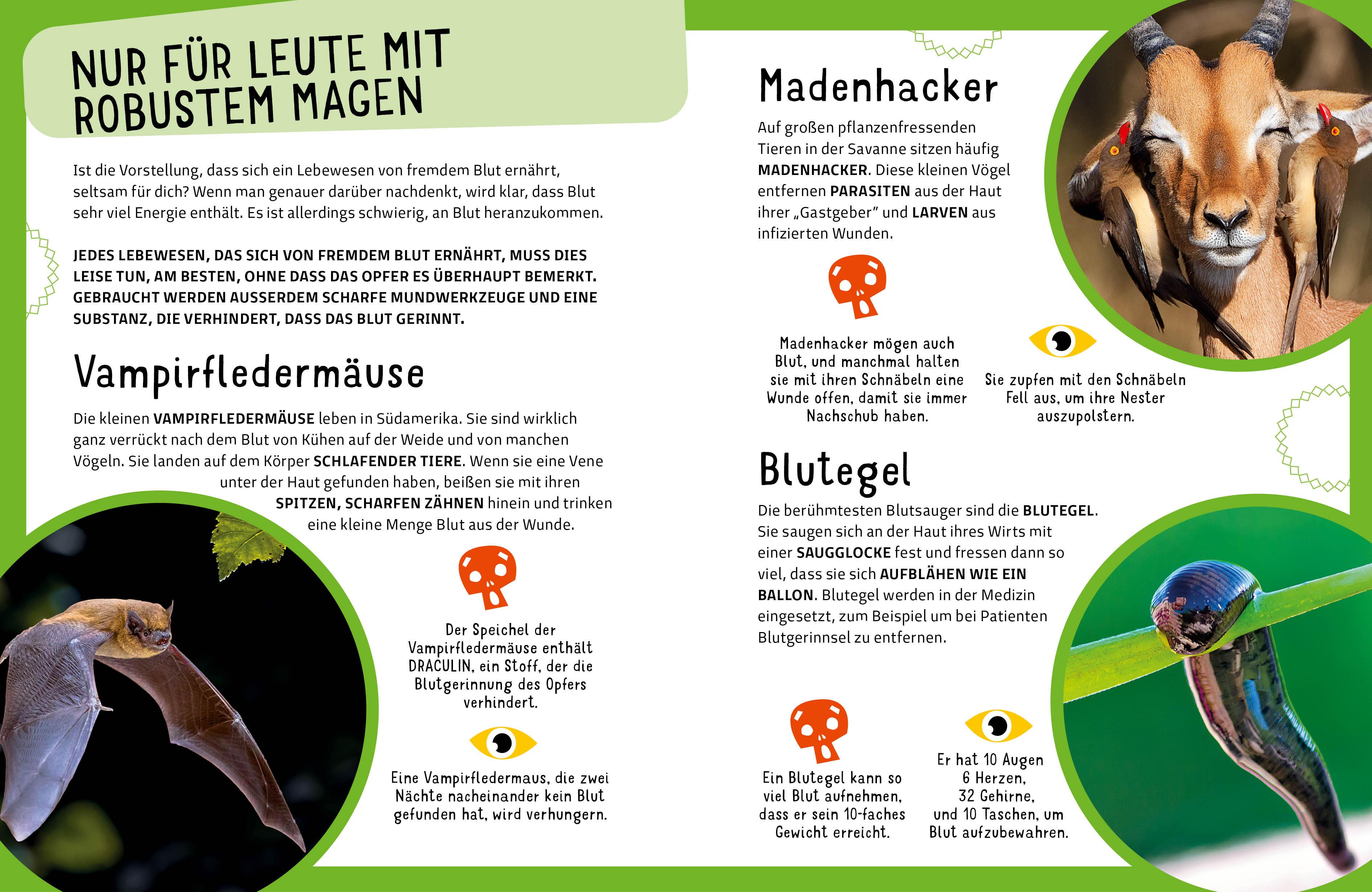 Beispielinhalt (Bild) Die krassesten Tiere