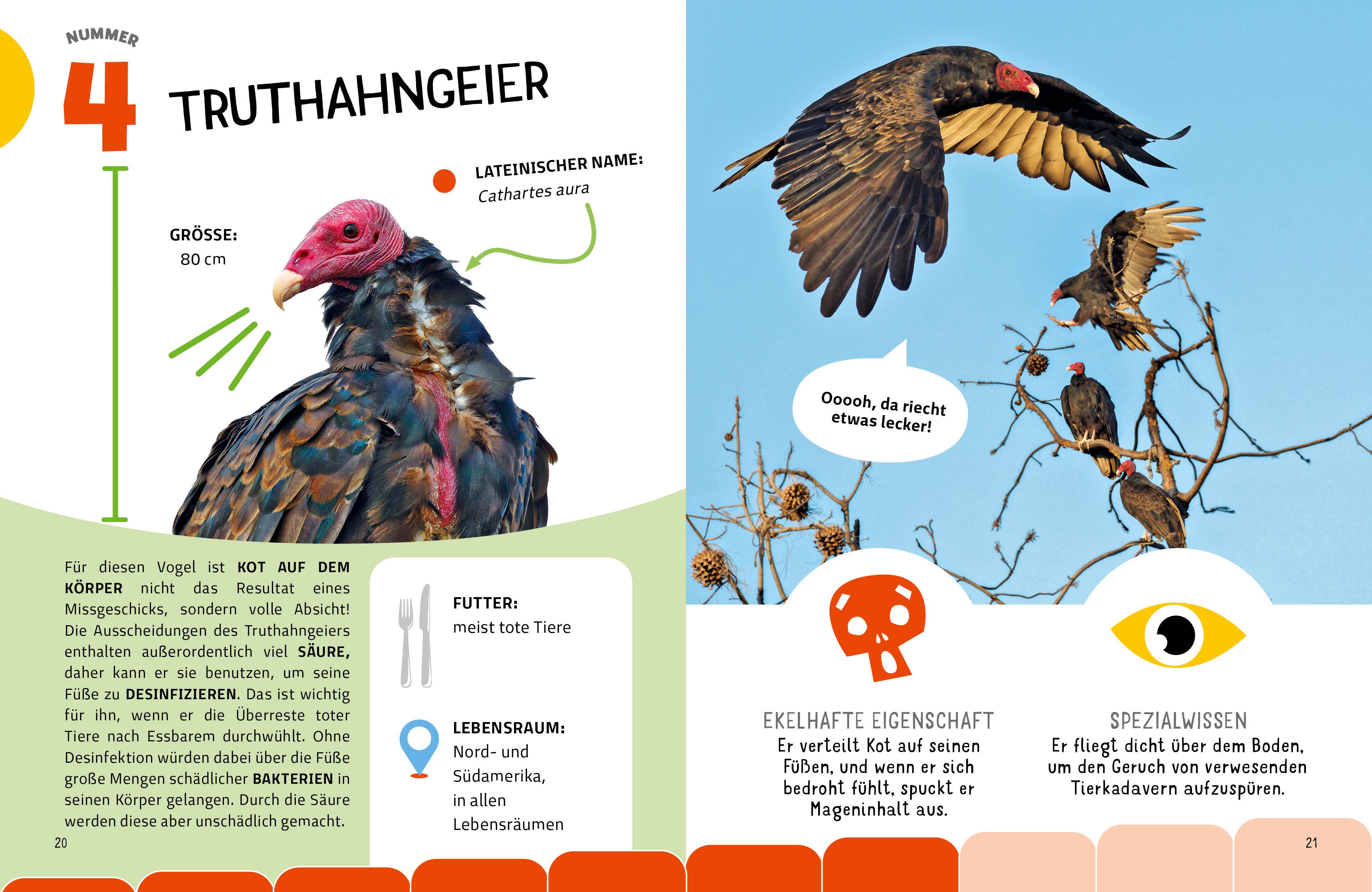 Beispielinhalt (Bild) Die krassesten Tiere