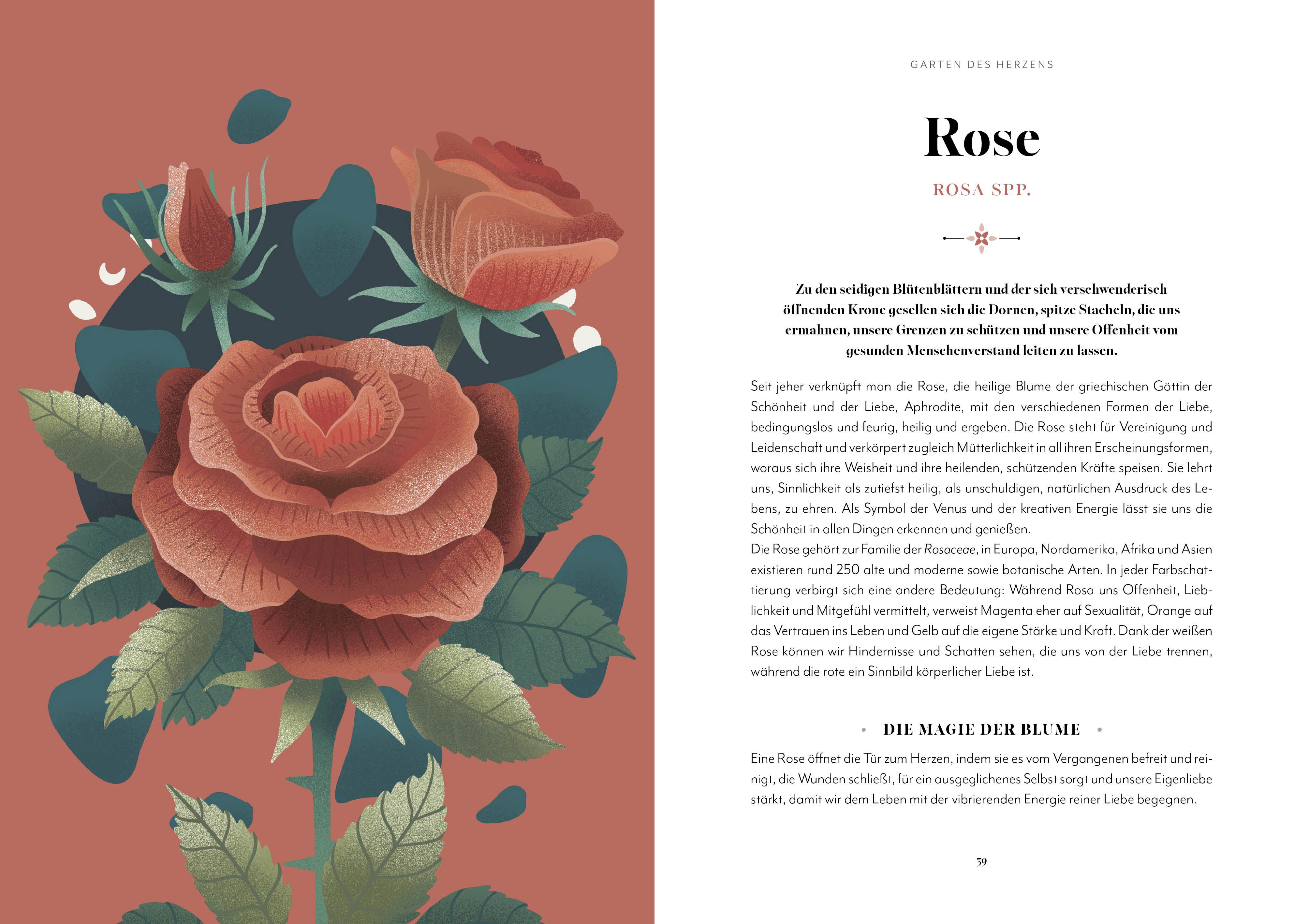 Beispielinhalt (Bild) Blumen-Zauber