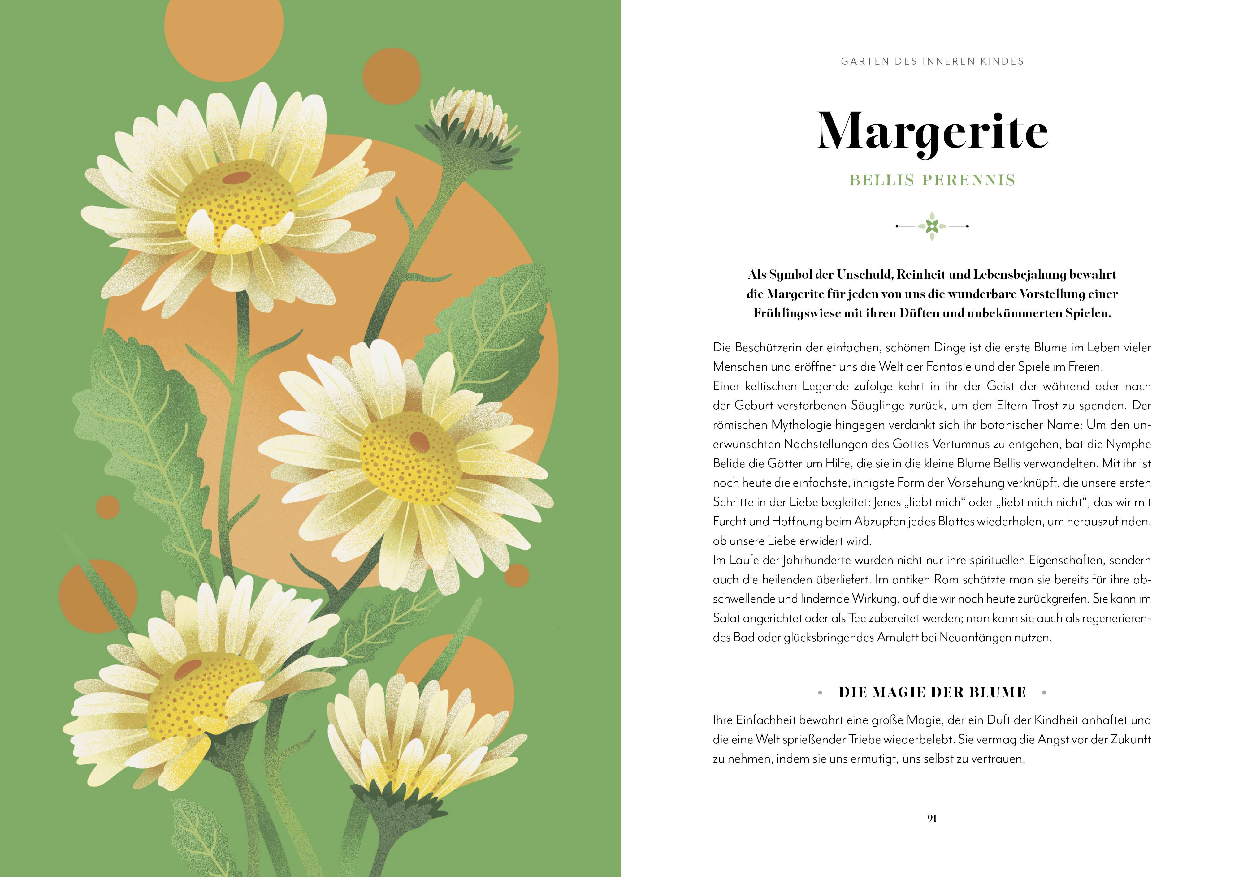 Beispielinhalt (Bild) Blumen-Zauber