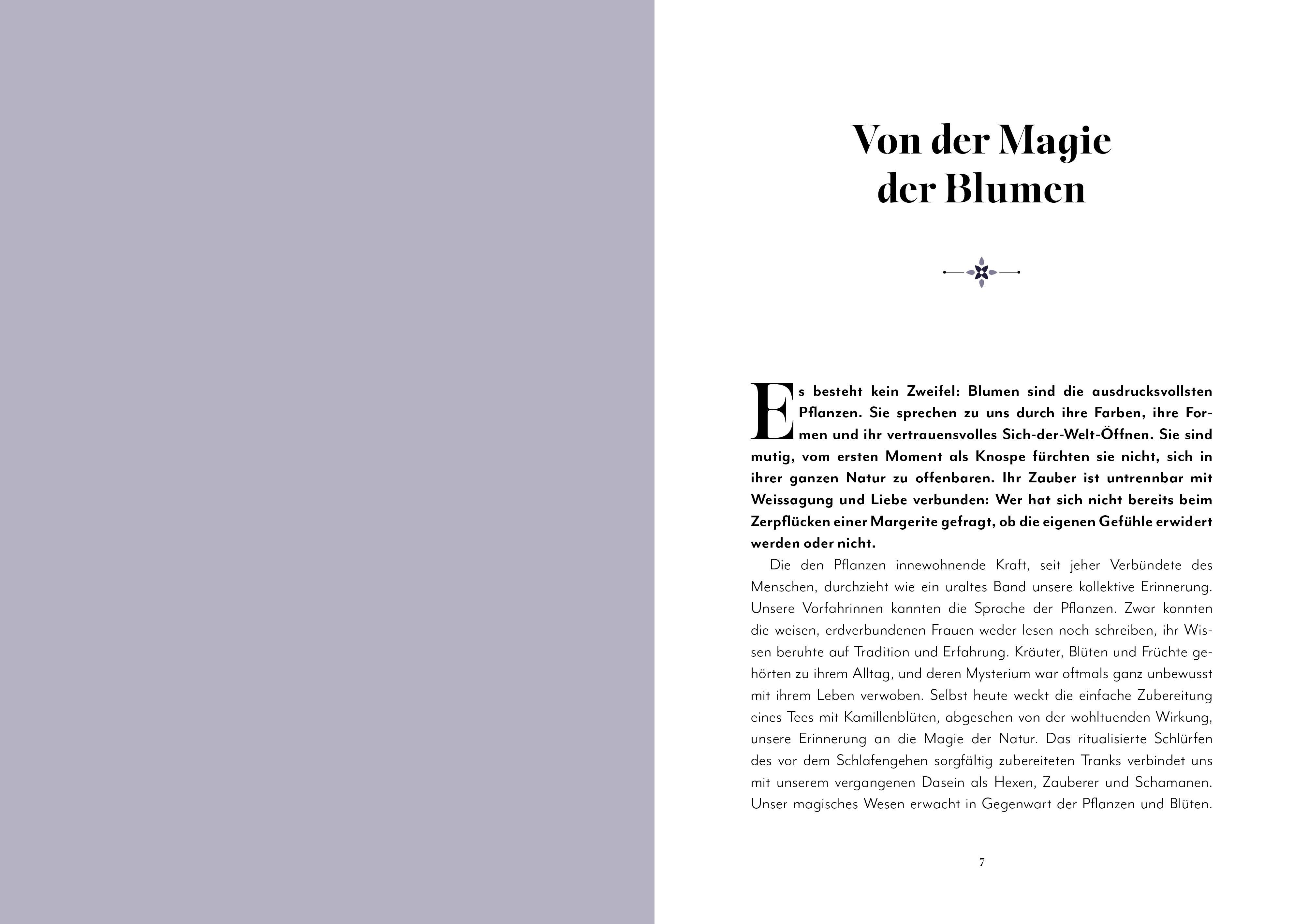 Beispielinhalt (Bild) Blumen-Zauber