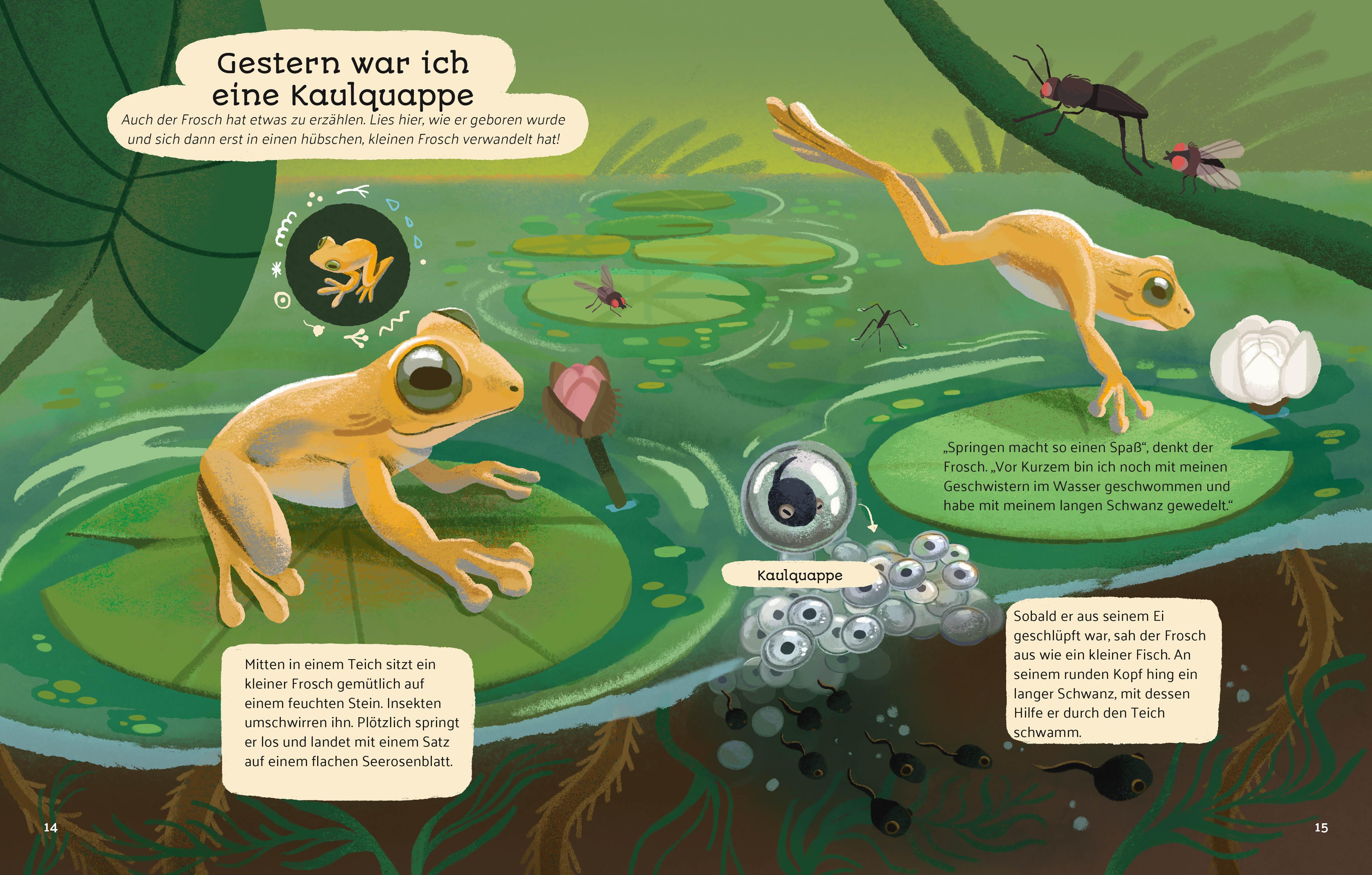 Beispielinhalt (Bild) Kleine Geschichten aus der Natur