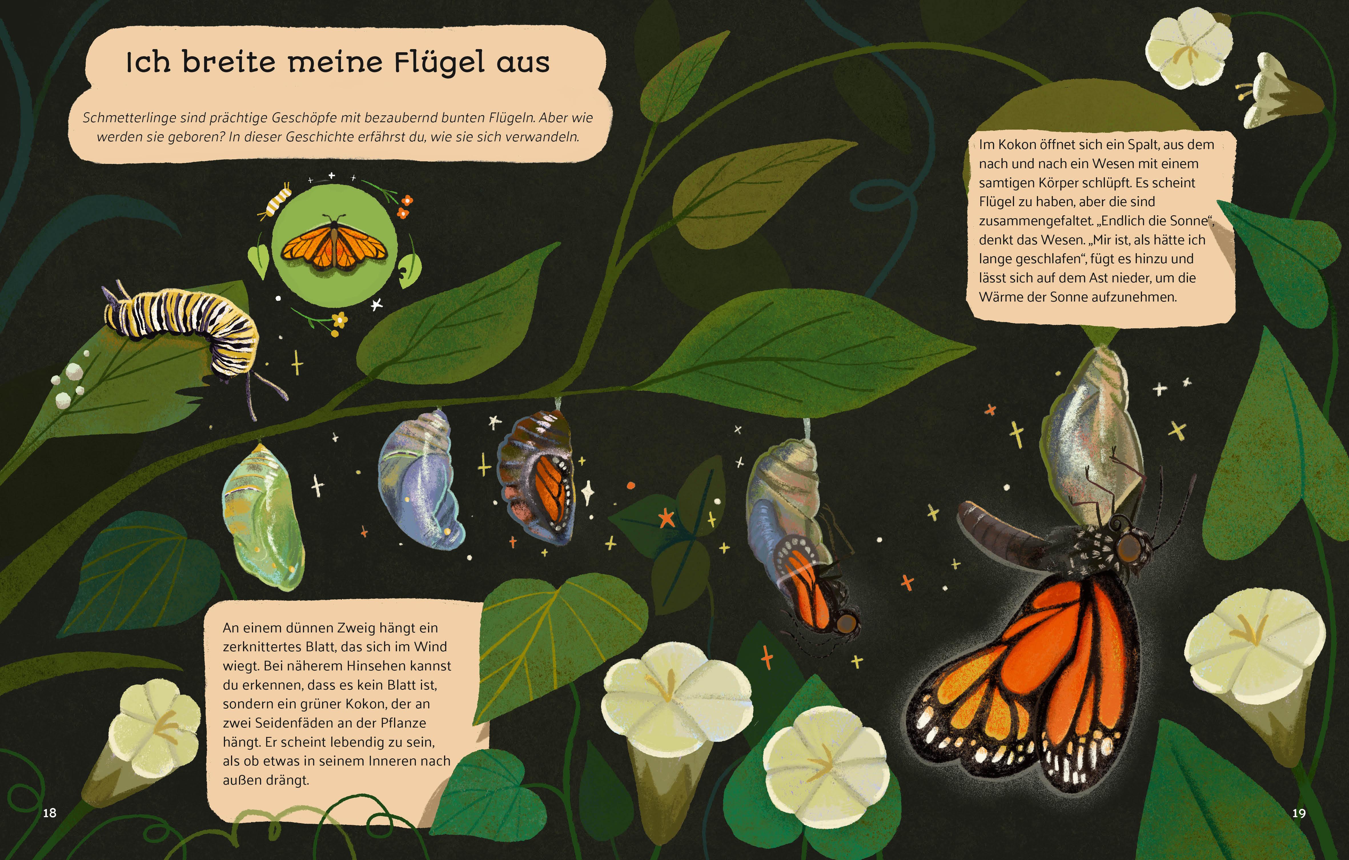 Beispielinhalt (Bild) Kleine Geschichten aus der Natur
