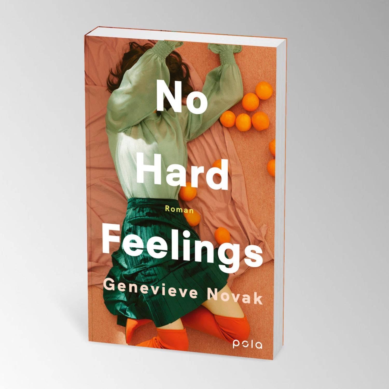 Beispielinhalt (Bild) No Hard Feelings
