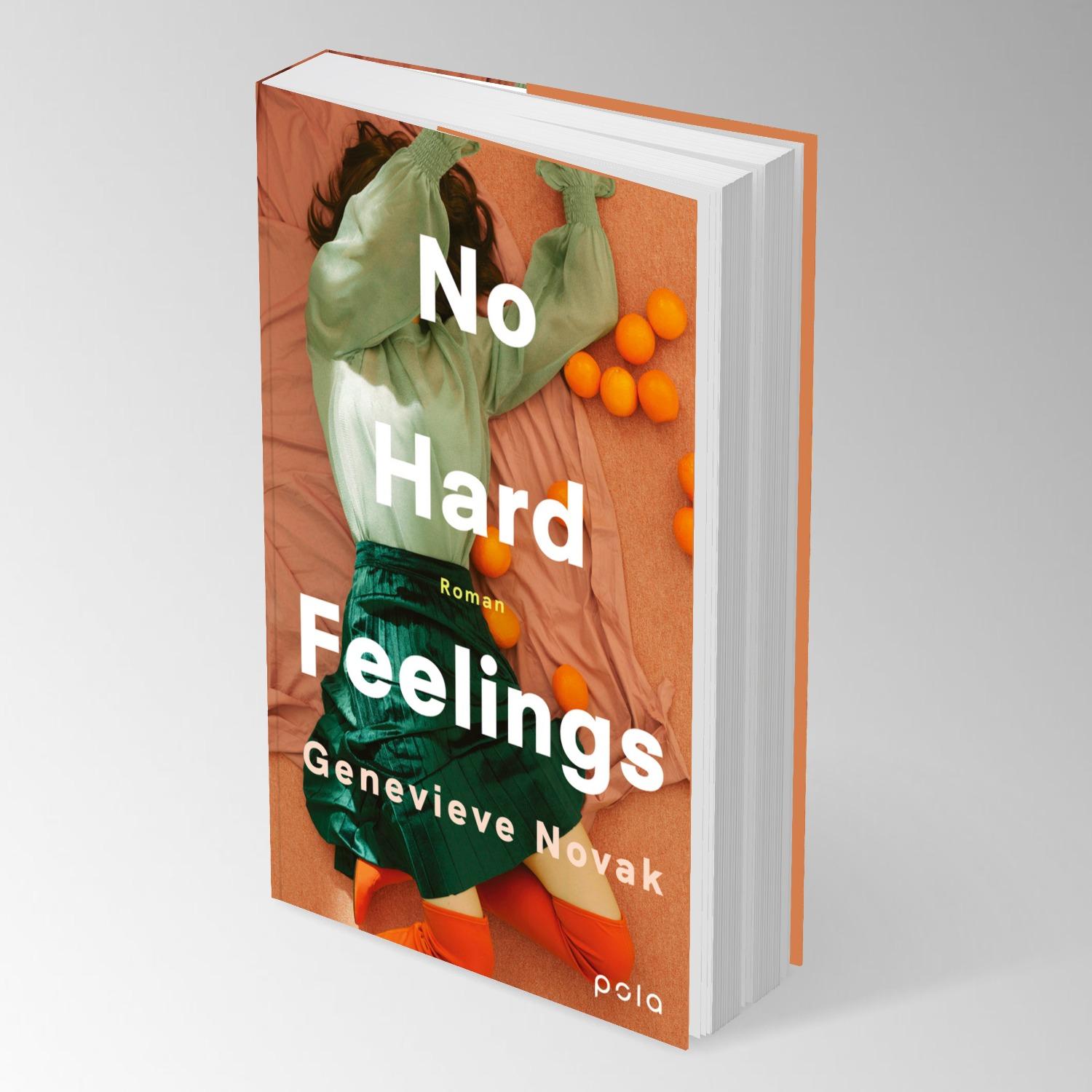 Beispielinhalt (Bild) No Hard Feelings