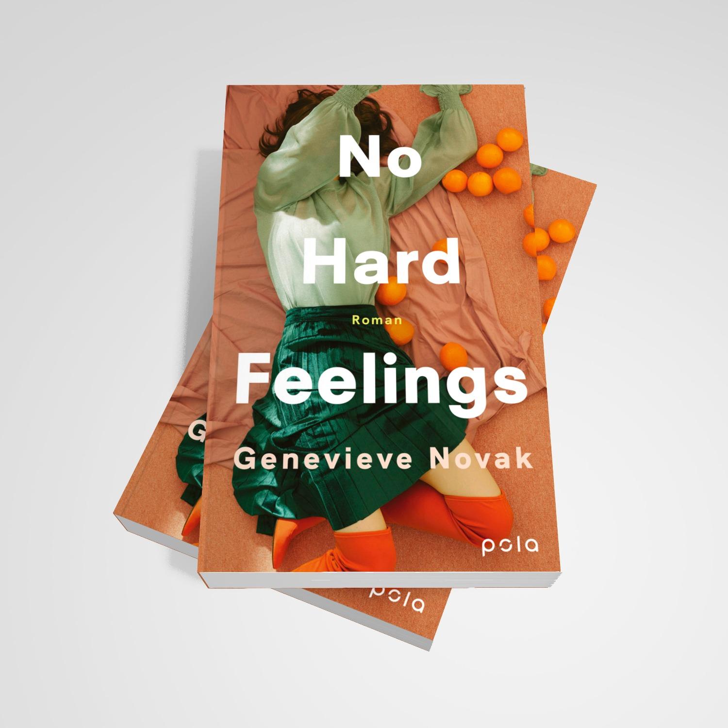 Beispielinhalt (Bild) No Hard Feelings