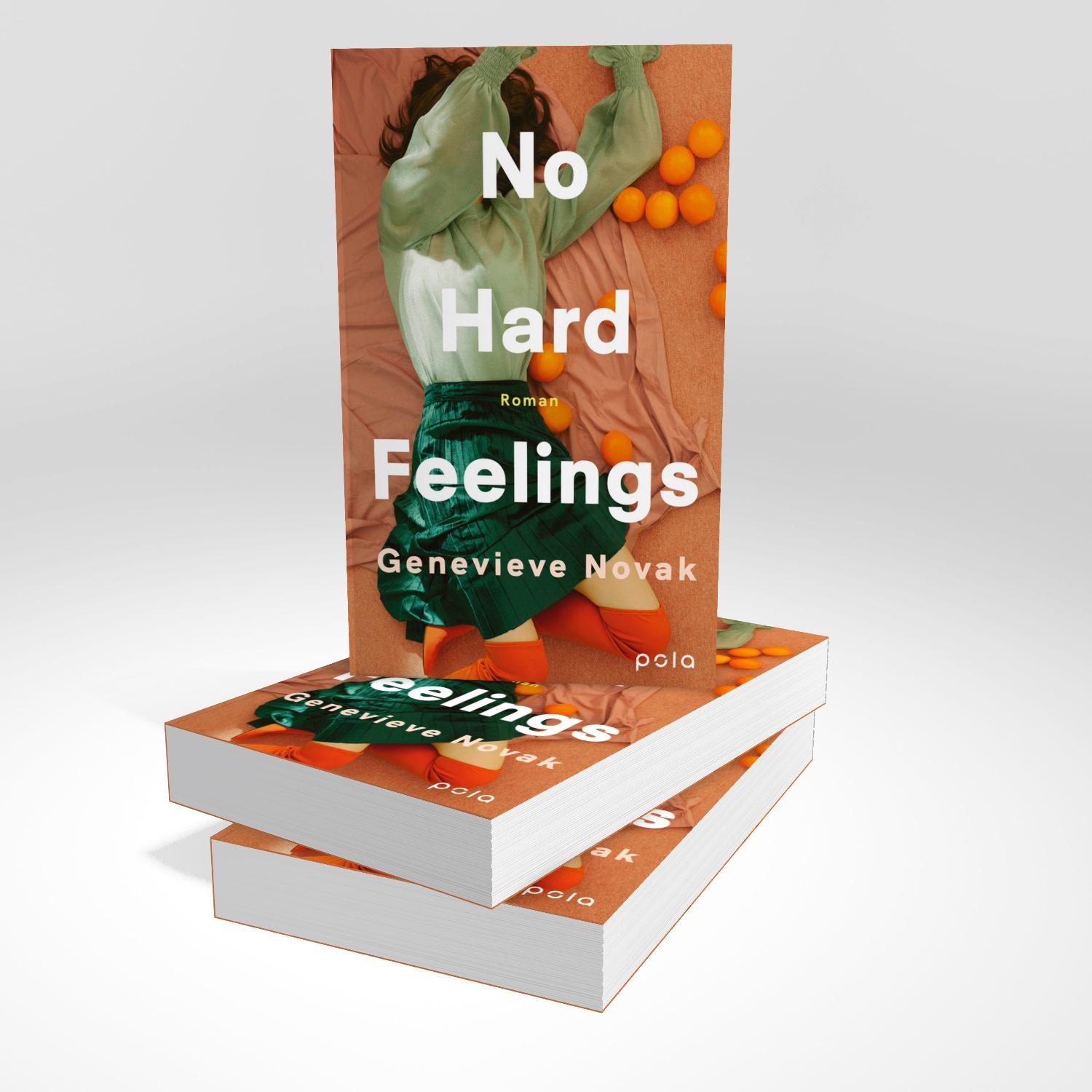 Beispielinhalt (Bild) No Hard Feelings