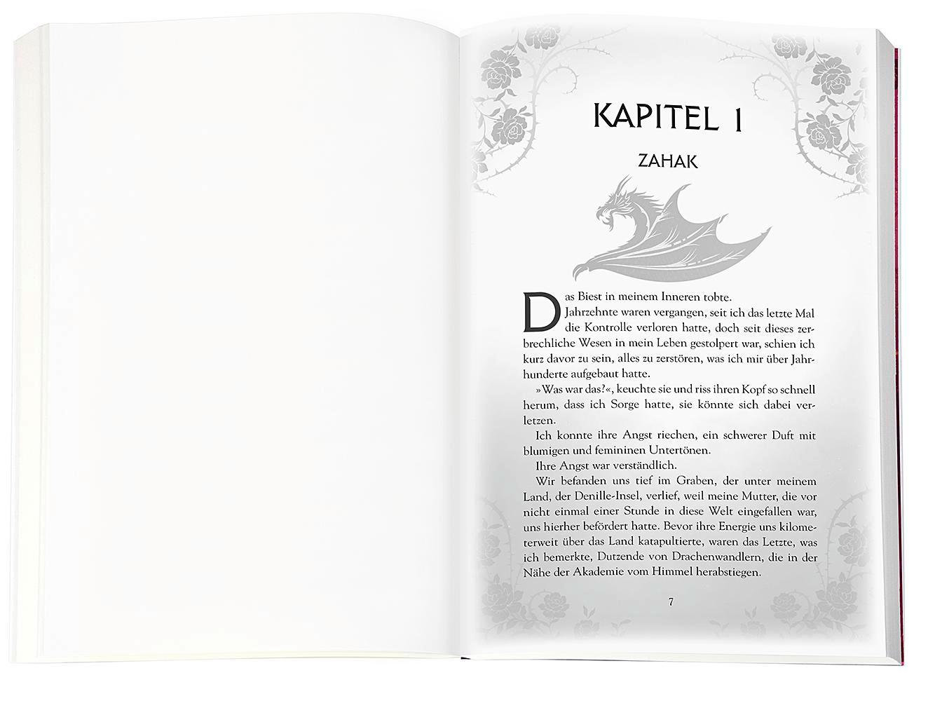 Beispielinhalt (Bild) Crimson Skies