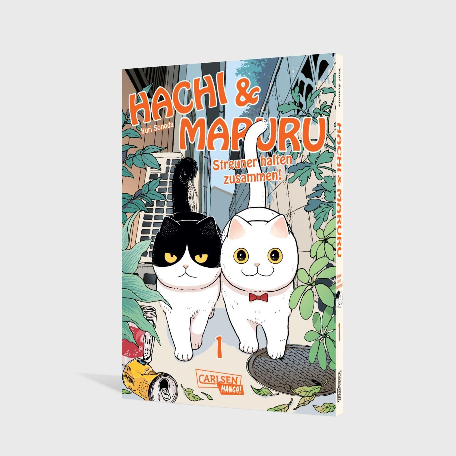 Beispielinhalt (Bild) Hachi & Maruru - Streuner halten zusammen! 1