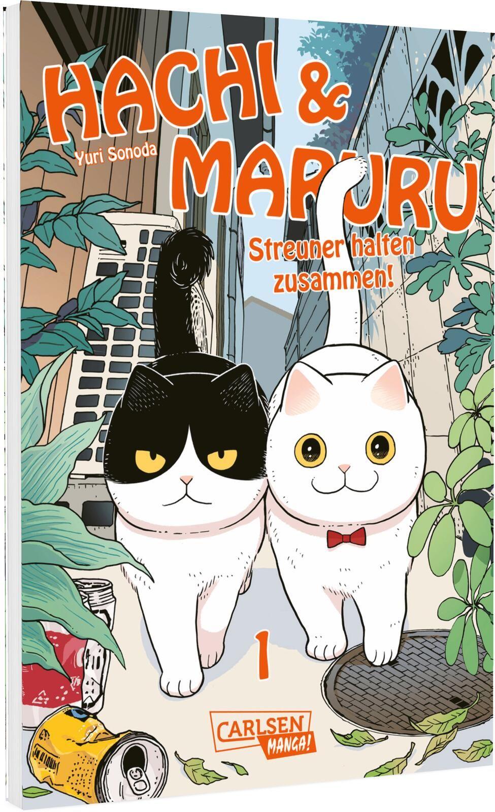 Vorderes Coverbild Hachi & Maruru - Streuner halten zusammen! 1