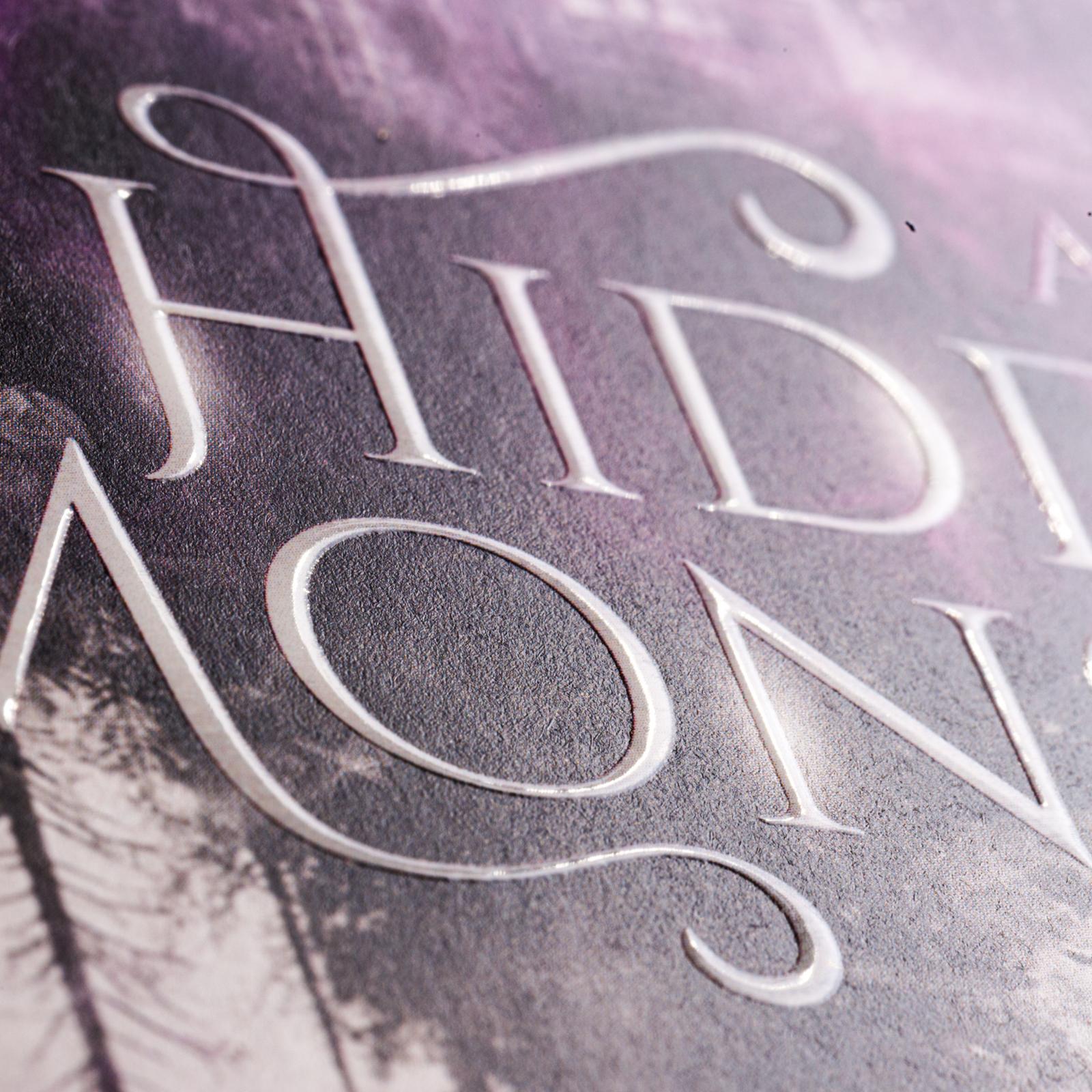 Beispielinhalt (Bild) All the Hidden Monsters 1: All The Hidden Monsters