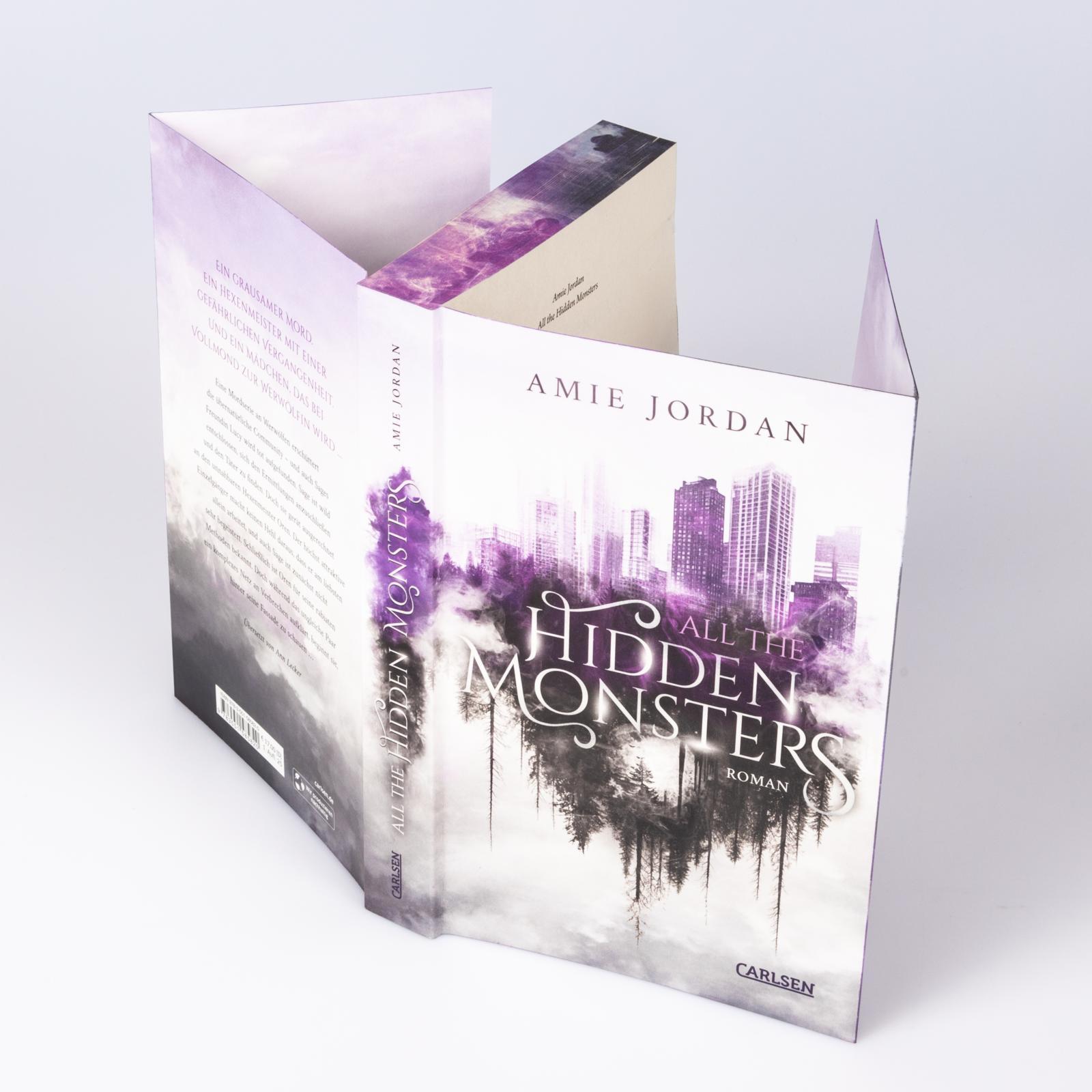 Beispielinhalt (Bild) All the Hidden Monsters 1: All The Hidden Monsters