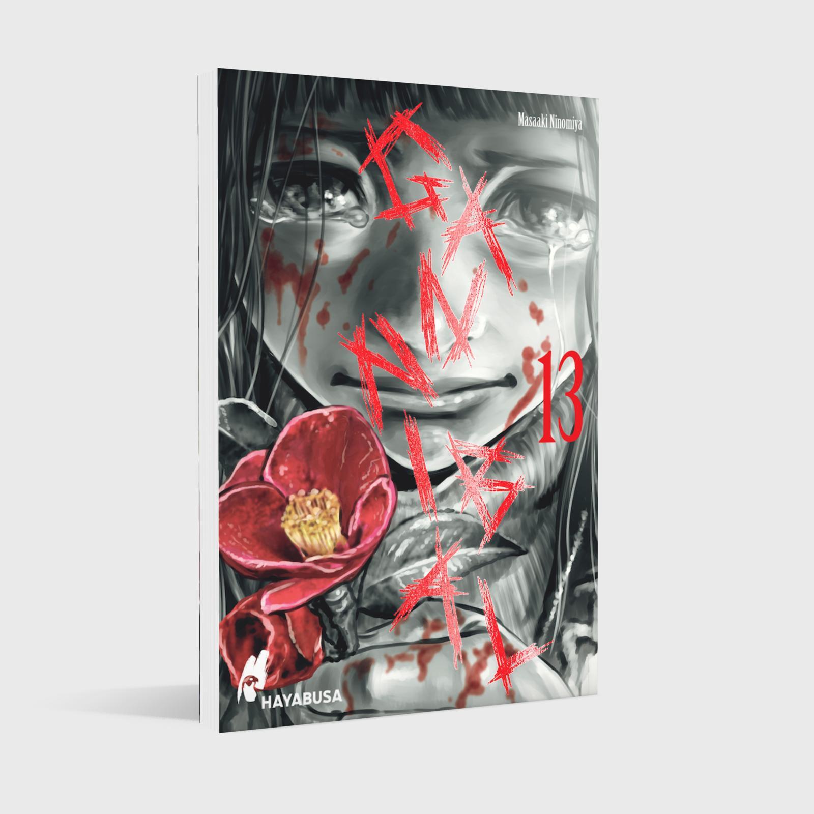 Beispielinhalt (Bild) Gannibal 13