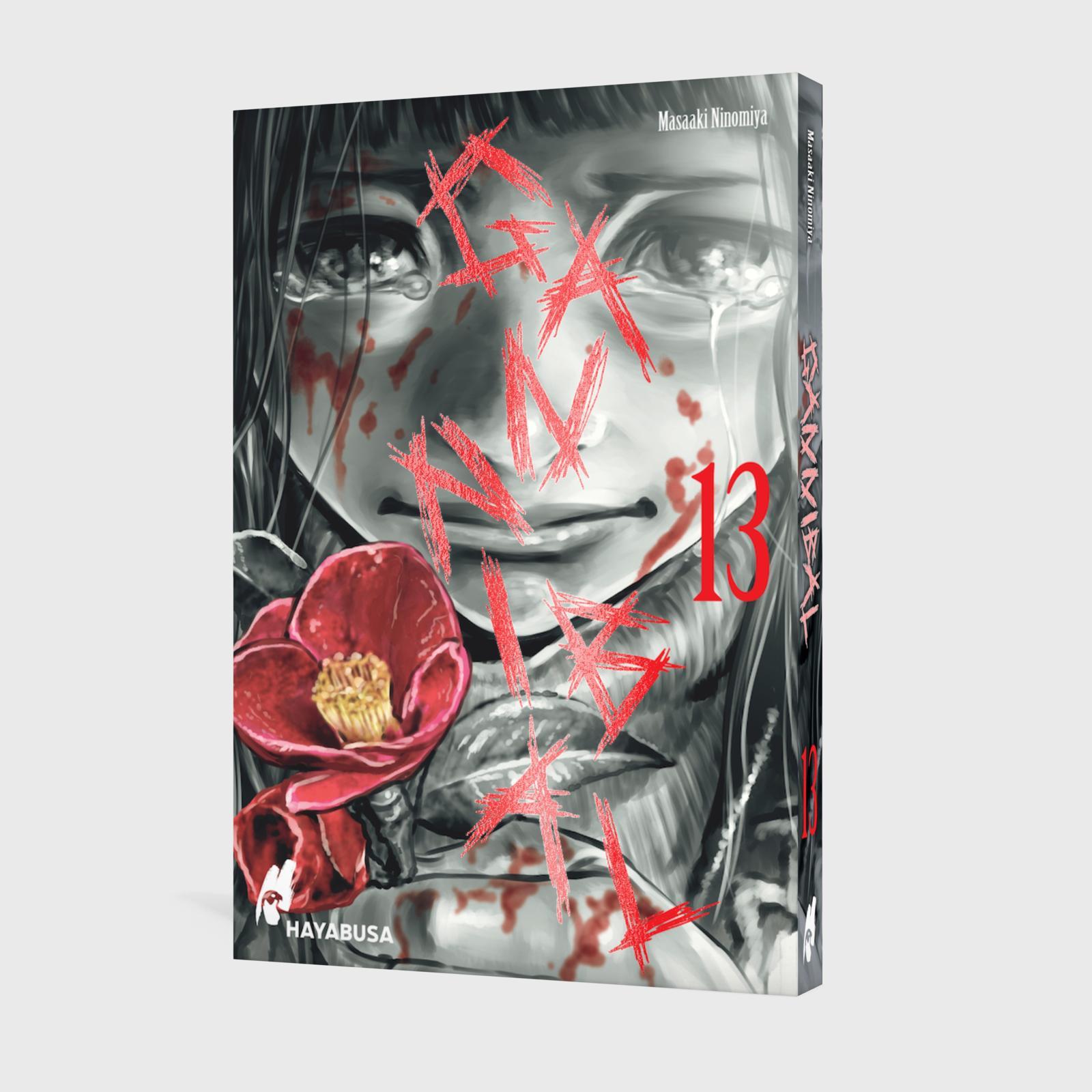 Beispielinhalt (Bild) Gannibal 13