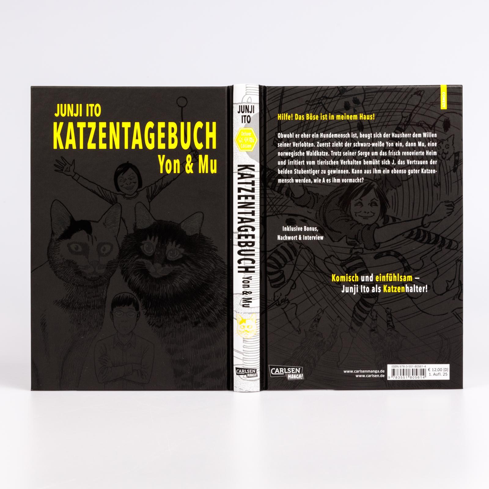 Beispielinhalt (Bild) Junji Itos Katzentagebuch