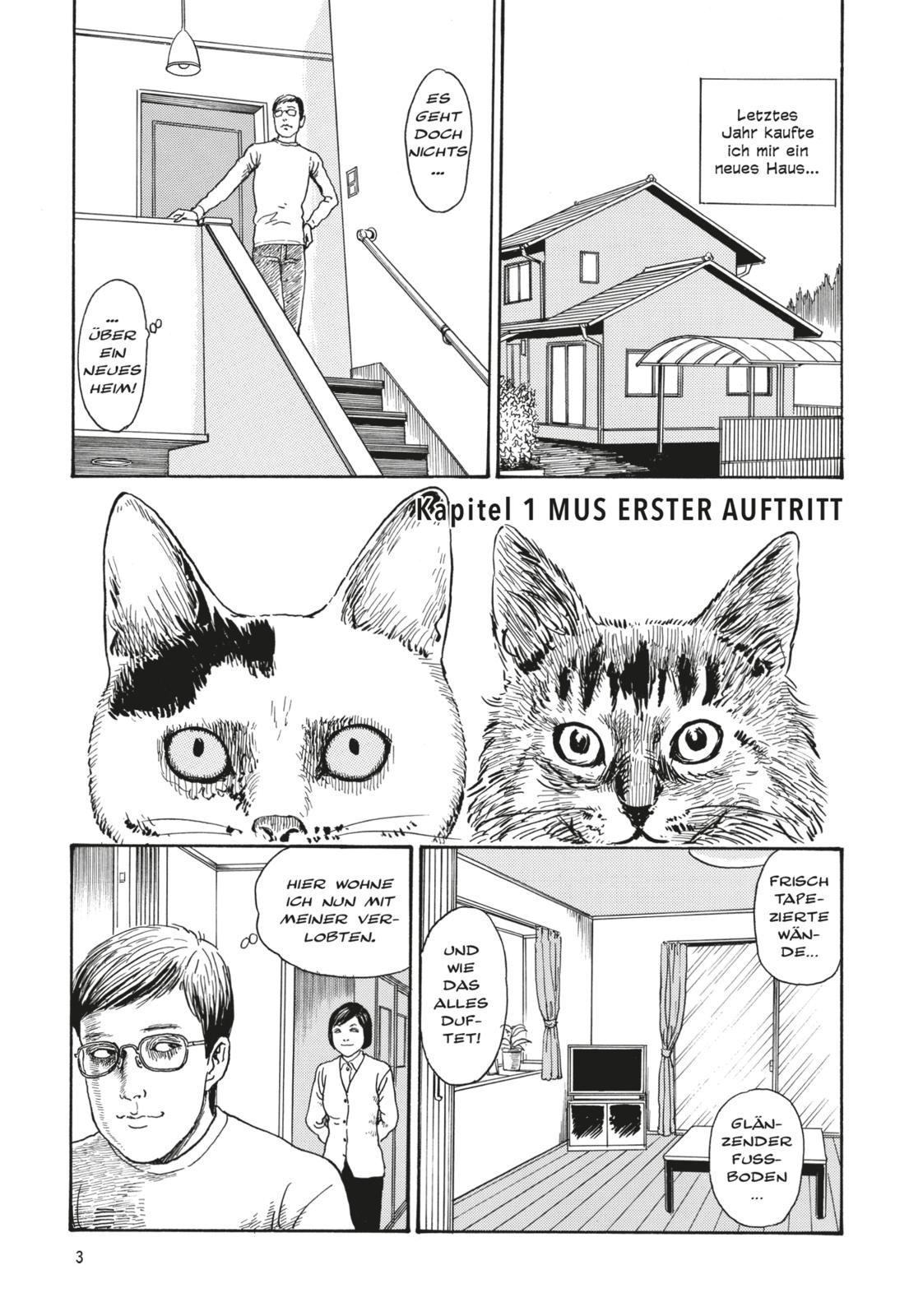 Beispielinhalt (Bild) Junji Itos Katzentagebuch