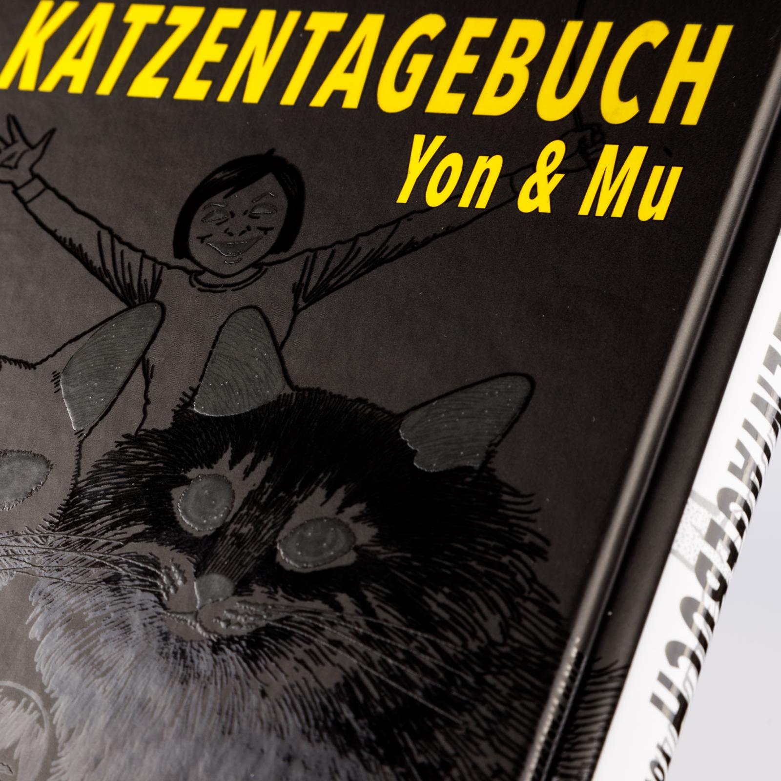Beispielinhalt (Bild) Junji Itos Katzentagebuch