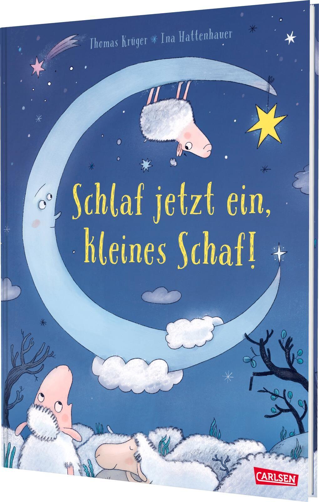 Vorderes Coverbild Schlaf jetzt ein, kleines Schaf!