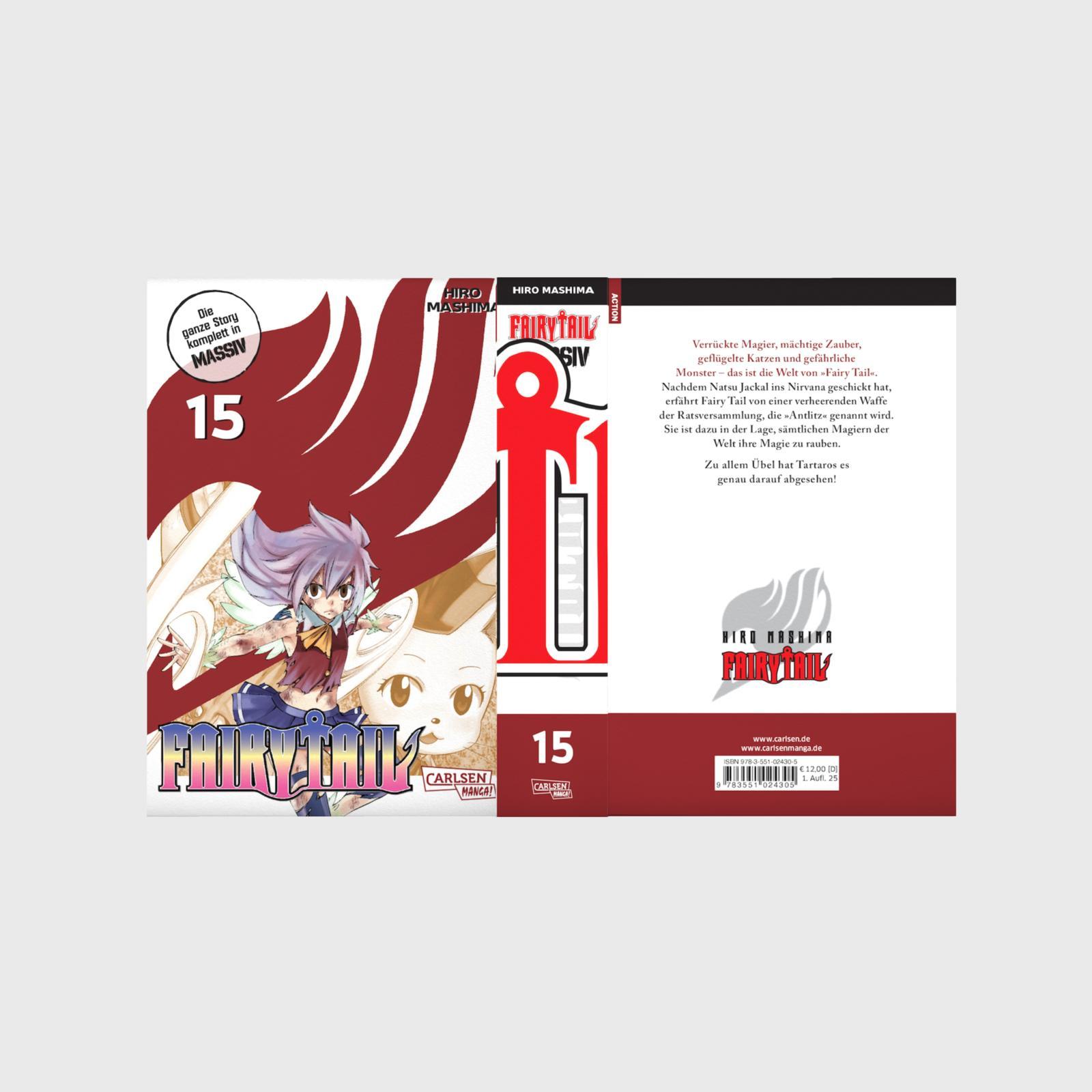 Beispielinhalt (Bild) Fairy Tail Massiv 15