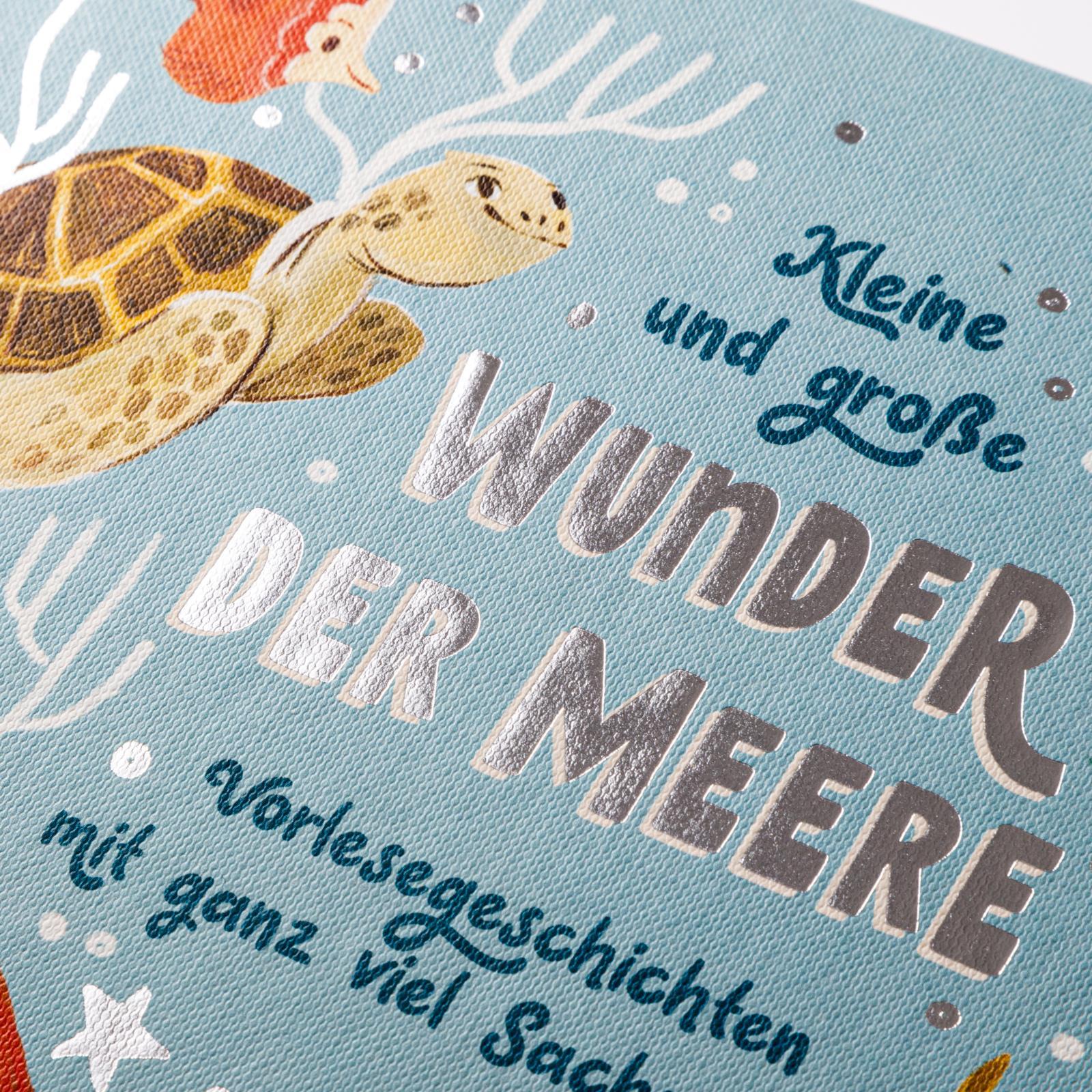 Beispielinhalt (Bild) Kleine und große Wunder der Meere