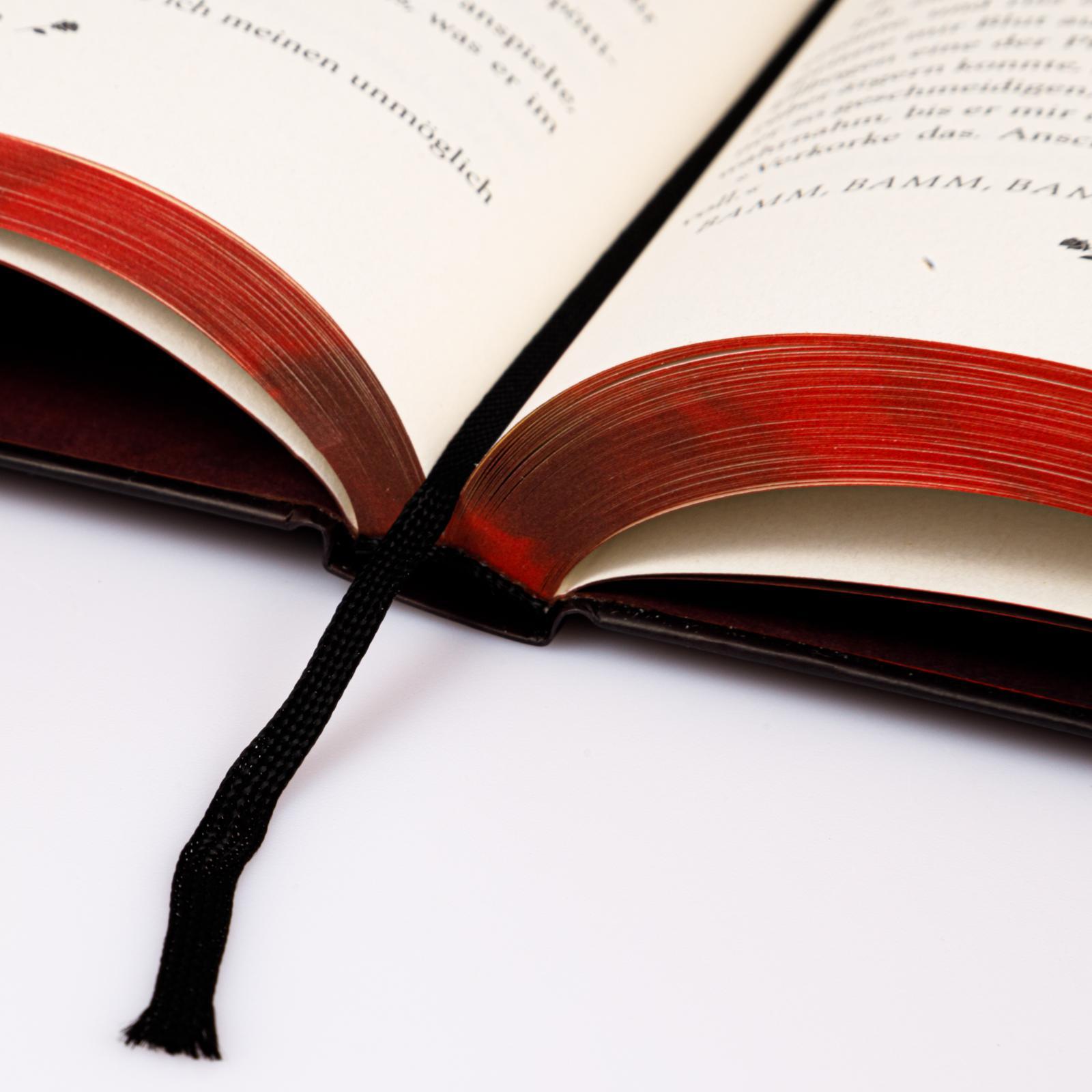 Beispielinhalt (Bild) Six Scorched Roses (Crowns of Nyaxia)