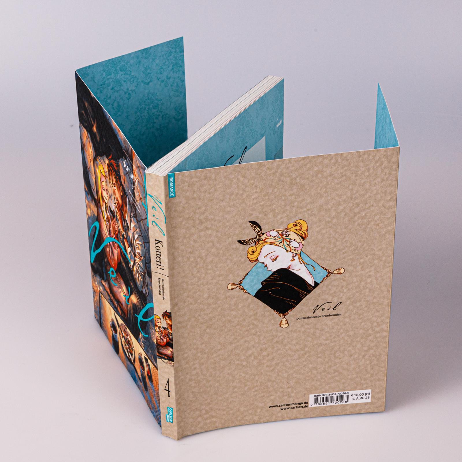 Beispielinhalt (Bild) VEIL 4