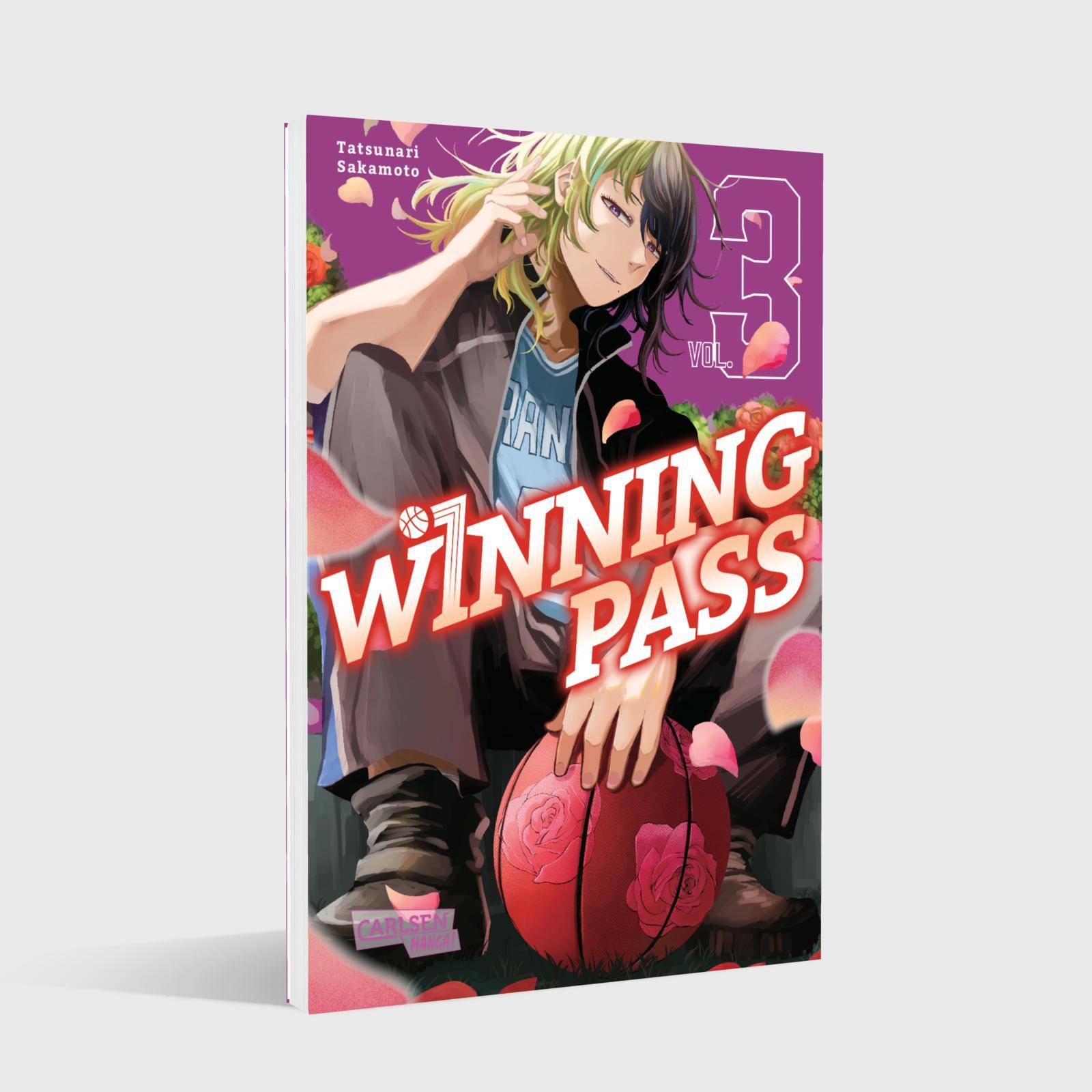 Beispielinhalt (Bild) Winning Pass 3