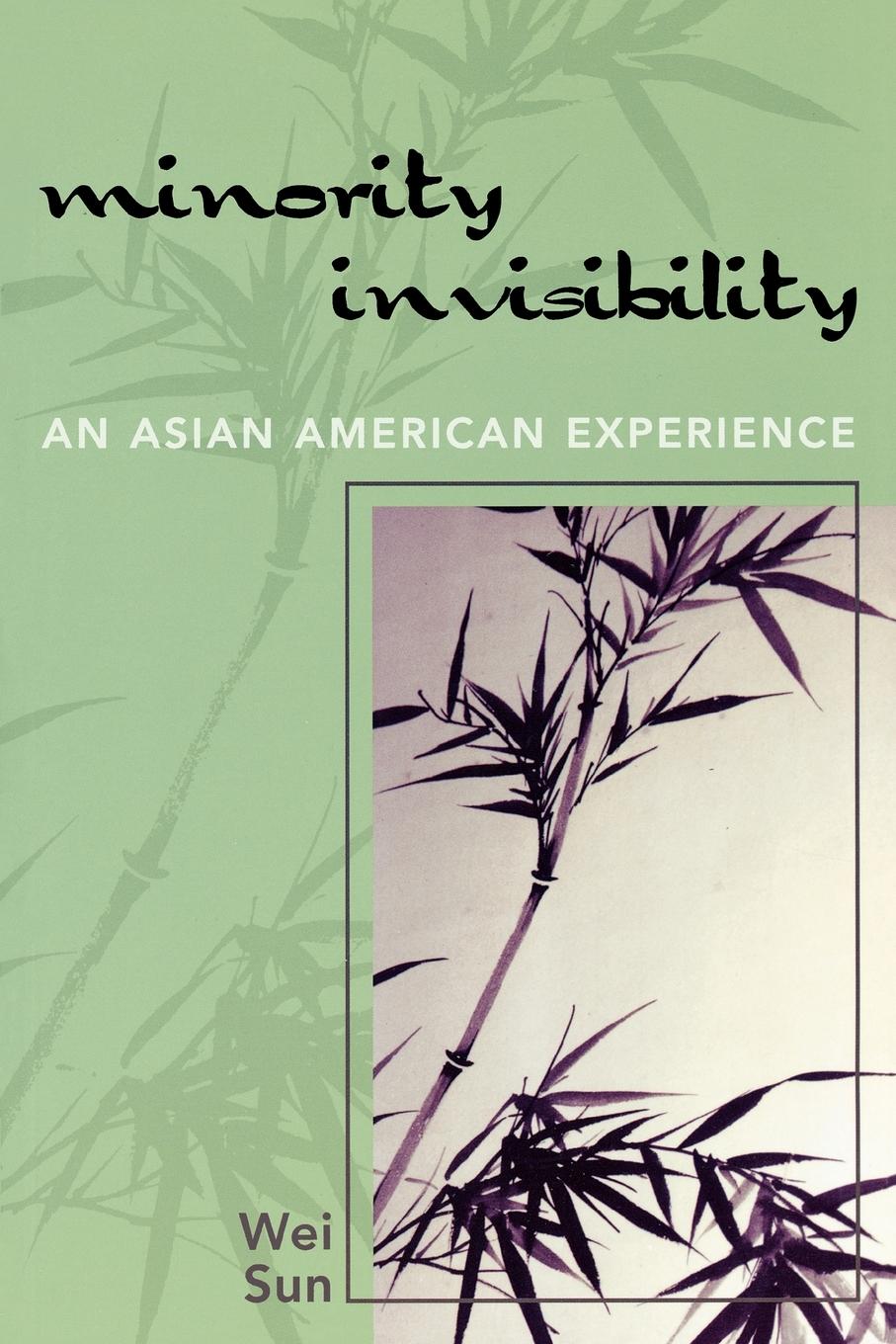 Vorderes Coverbild Minority Invisibility
