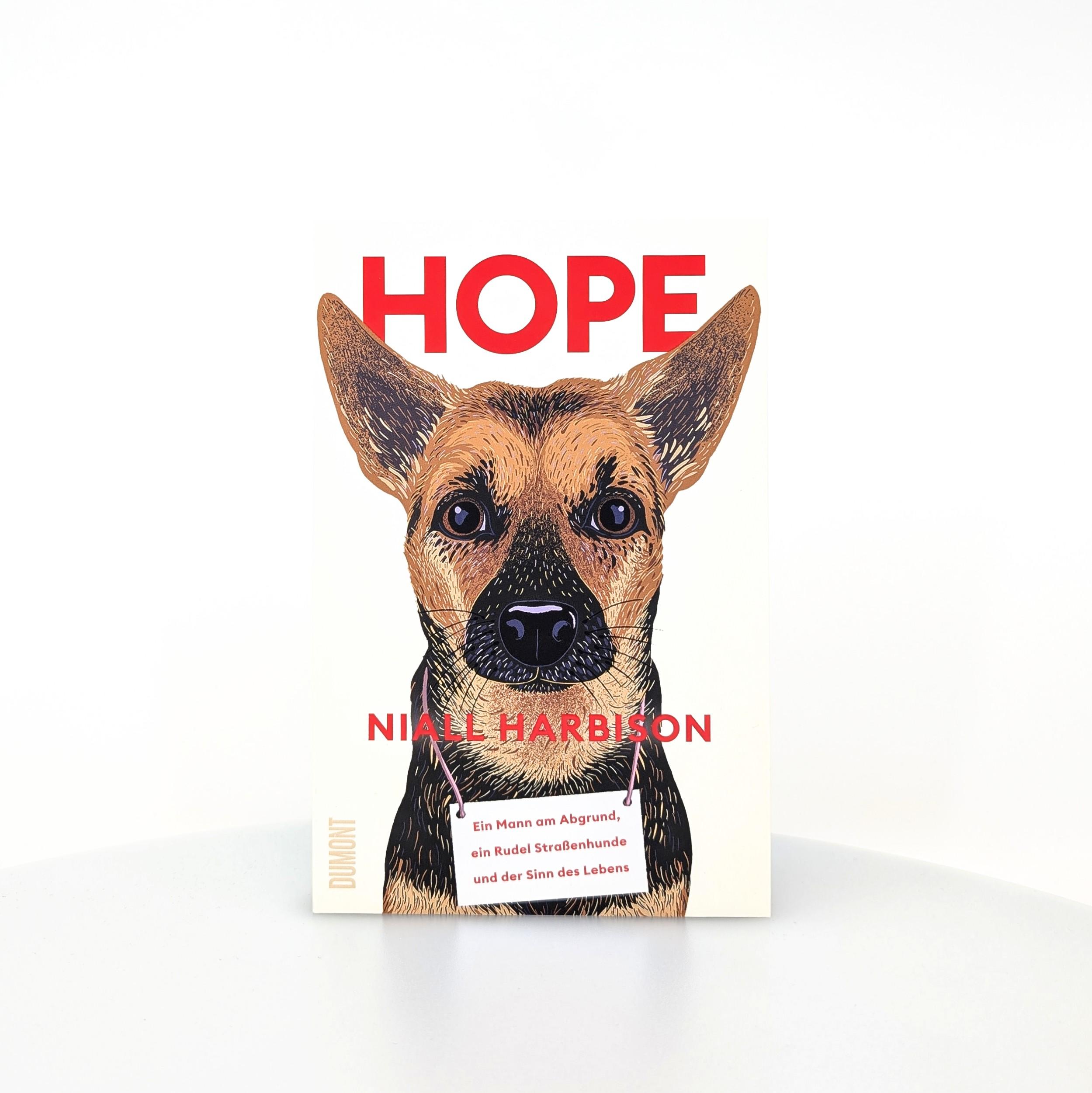 Beispielinhalt (Bild) Hope
