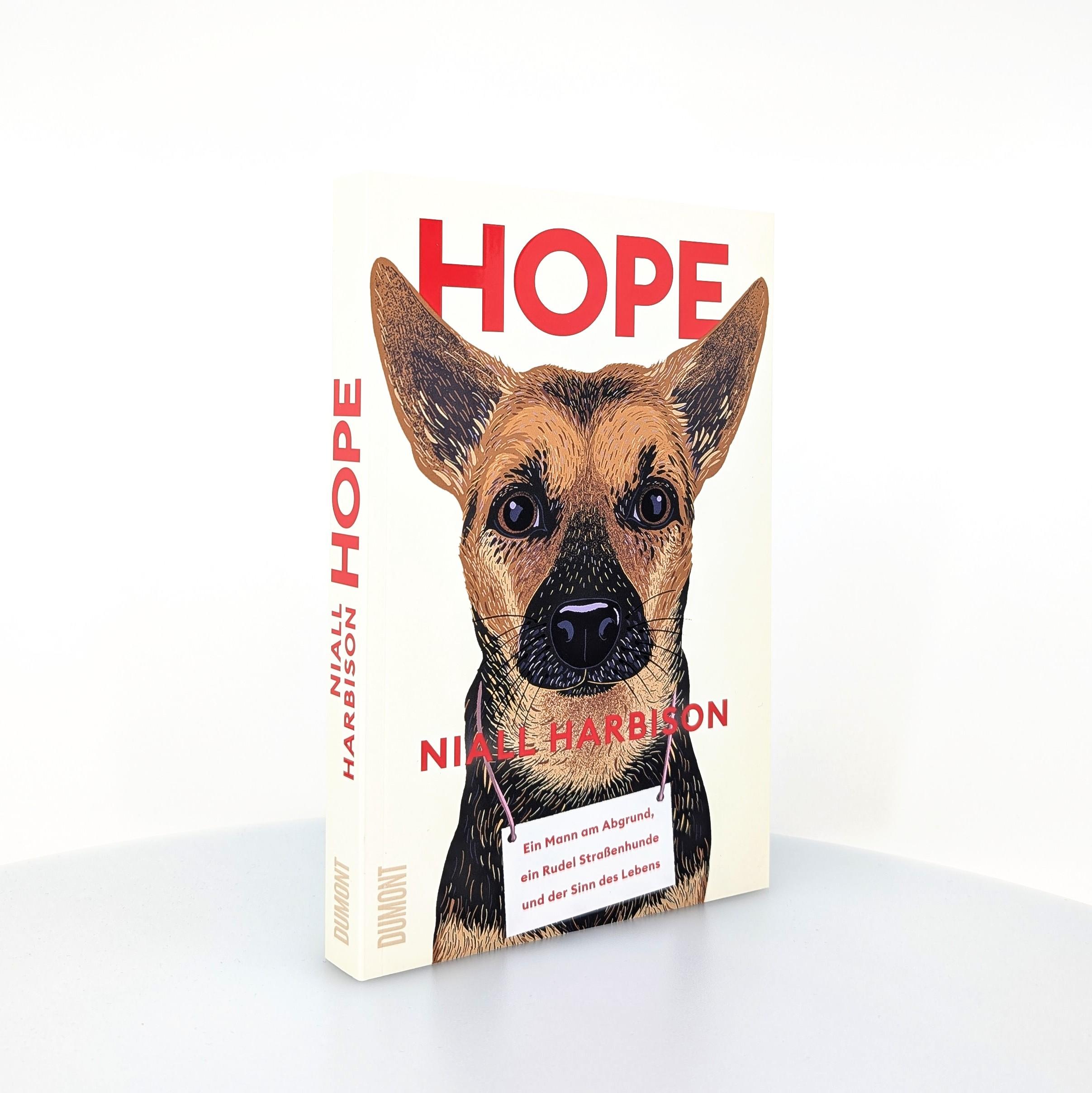 Beispielinhalt (Bild) Hope