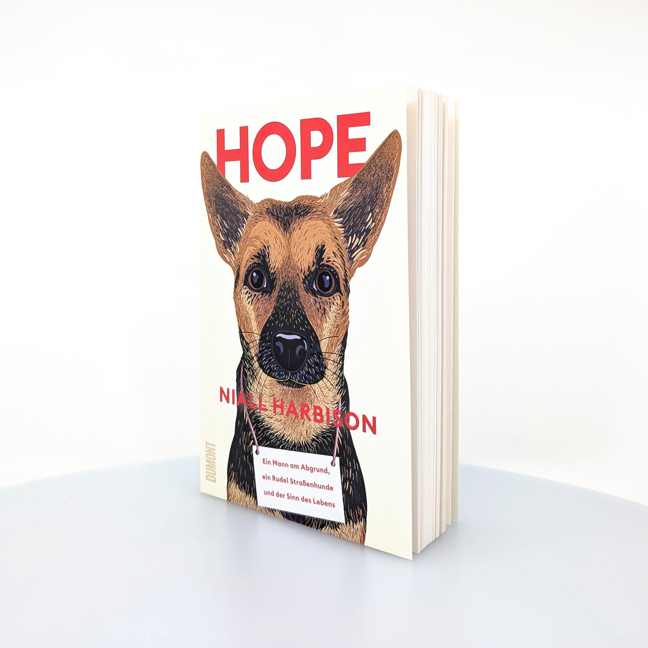 Beispielinhalt (Bild) Hope