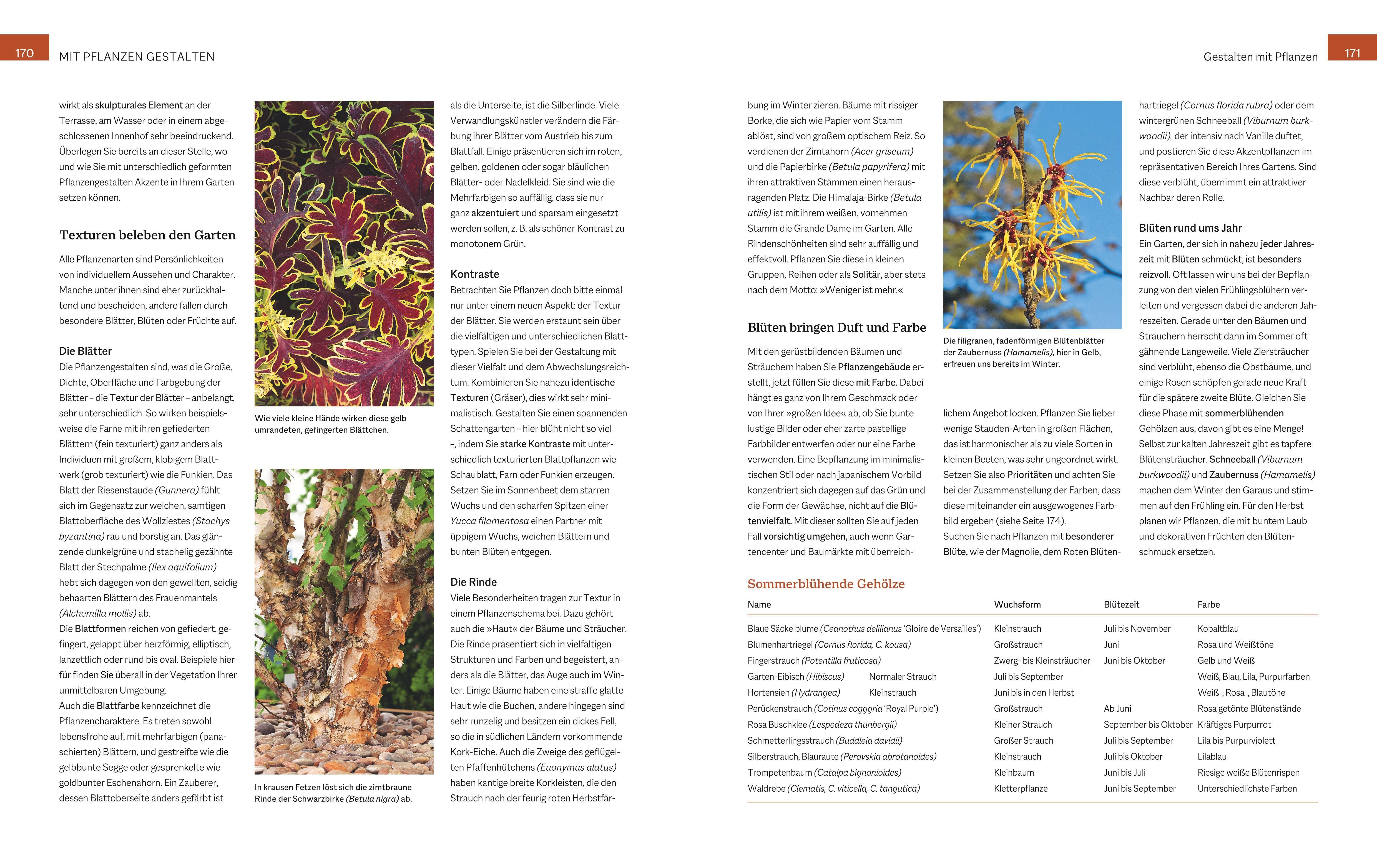 Beispielinhalt (Bild) Das große GU Handbuch Gartengestaltung