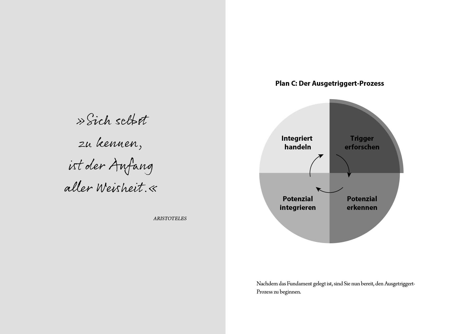 Beispielinhalt (Bild) Ausgetriggert