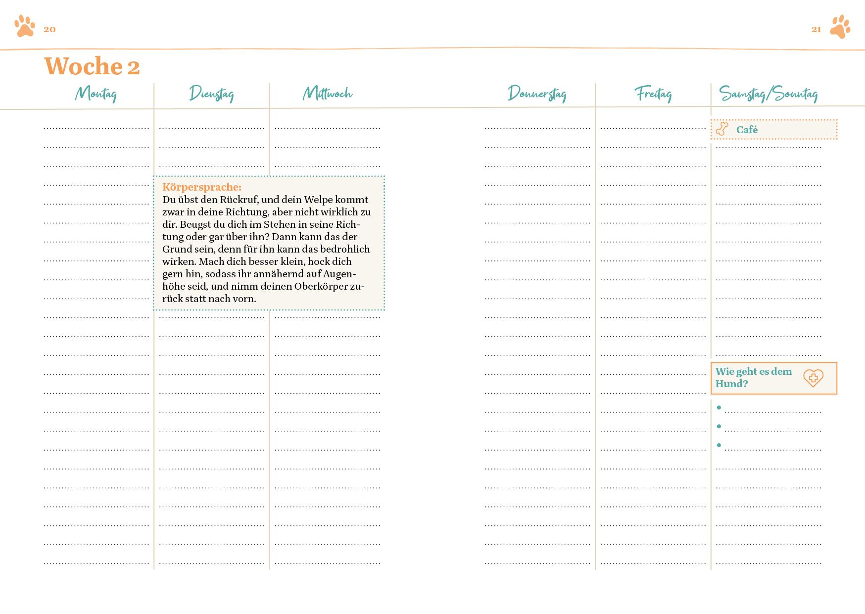 Beispielinhalt (Bild) Das erste Jahr mit deinem Welpen  - dein Wochenkalender